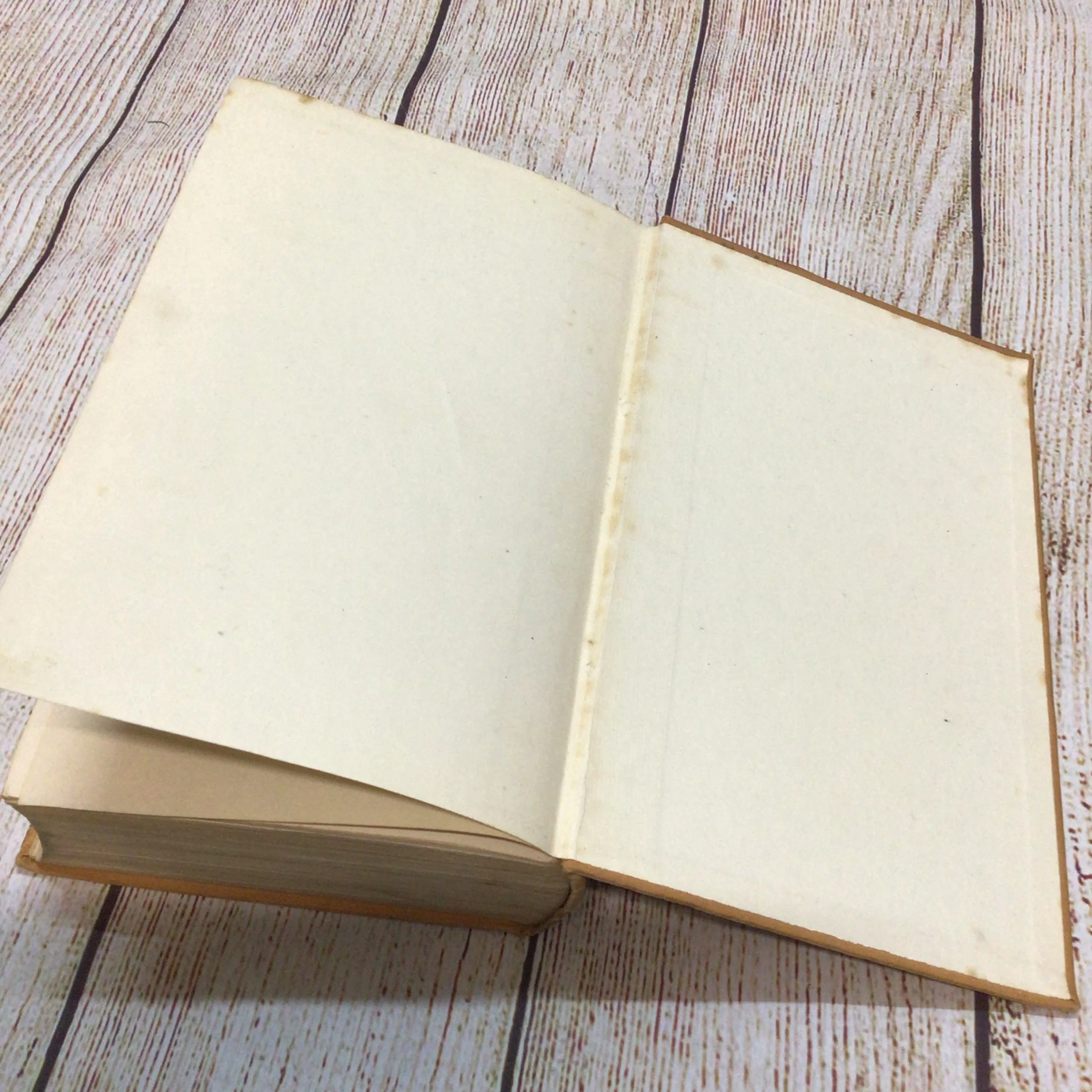 A Century of Western Stories by George Goodchild (Hutchinson & Co) - Image 11