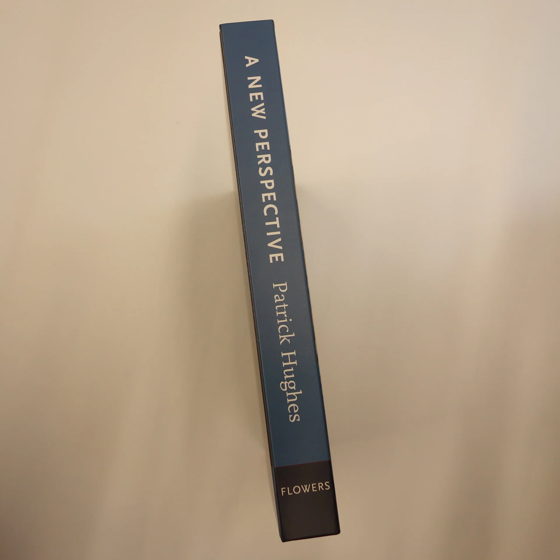 A New Perspective by Patrick Hughes - Rare Signed hardback book - Image 6