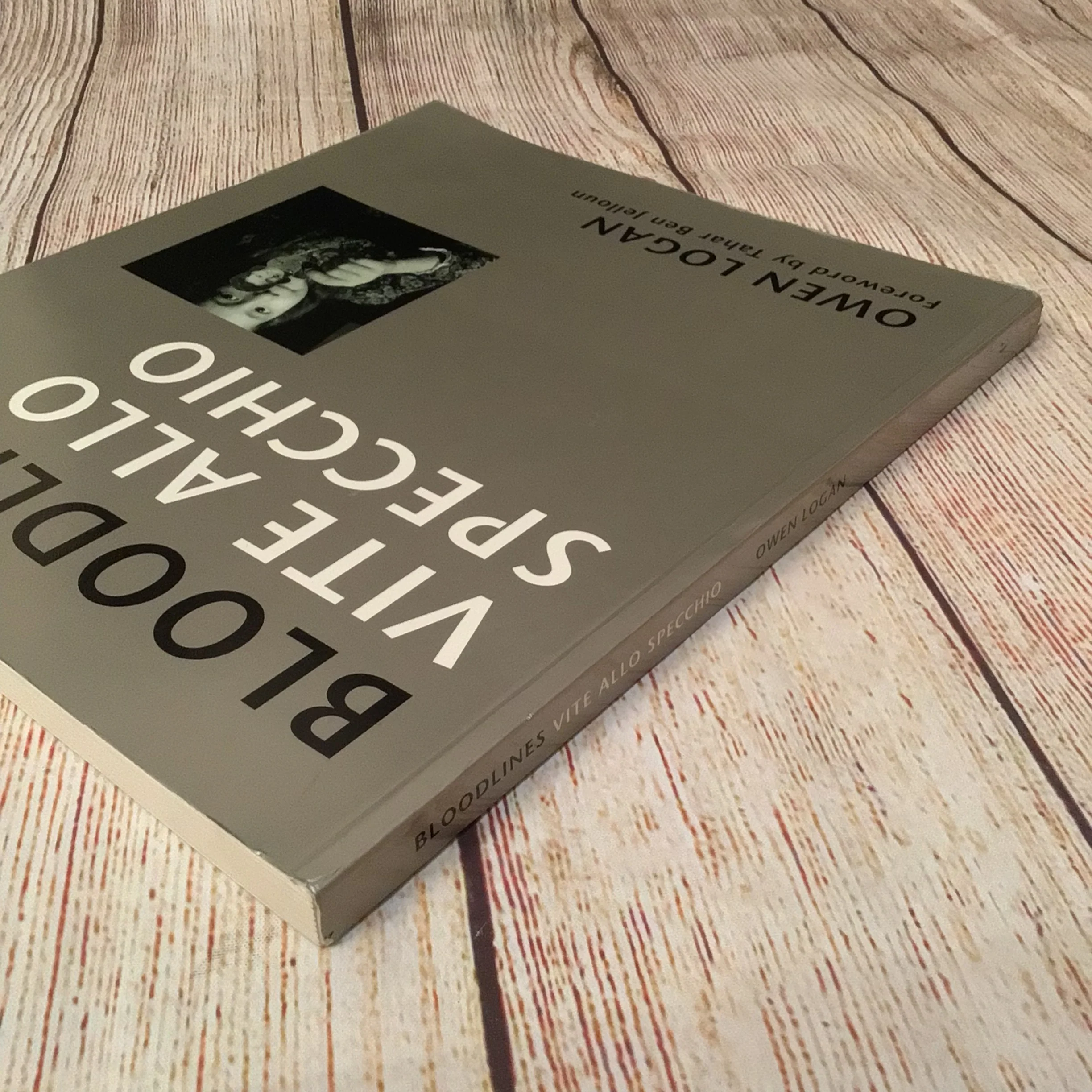 Bloodlines: Vite Allo Specchio by Owen Logan (1994) - Image 5