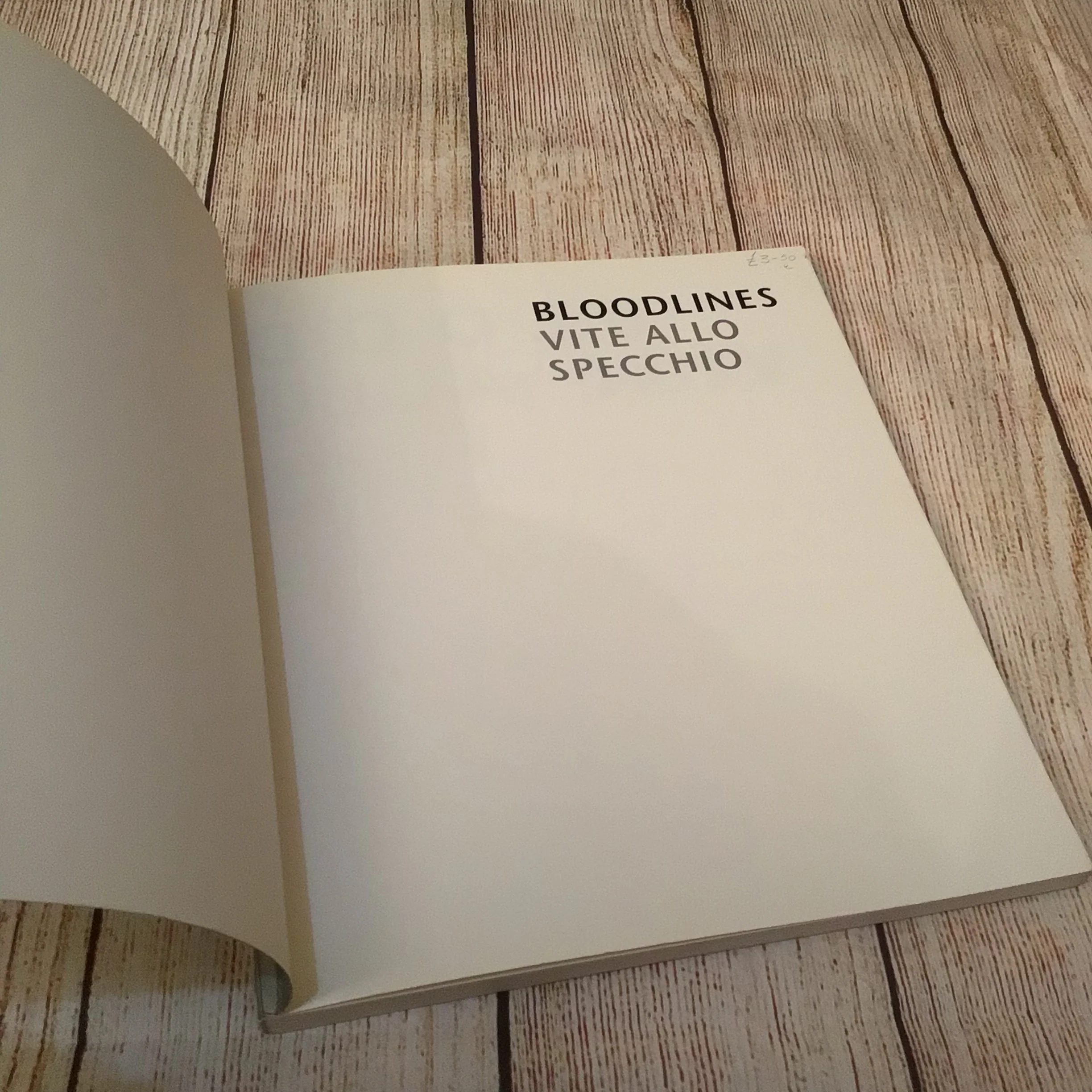 Bloodlines: Vite Allo Specchio by Owen Logan (1994) - Image 6
