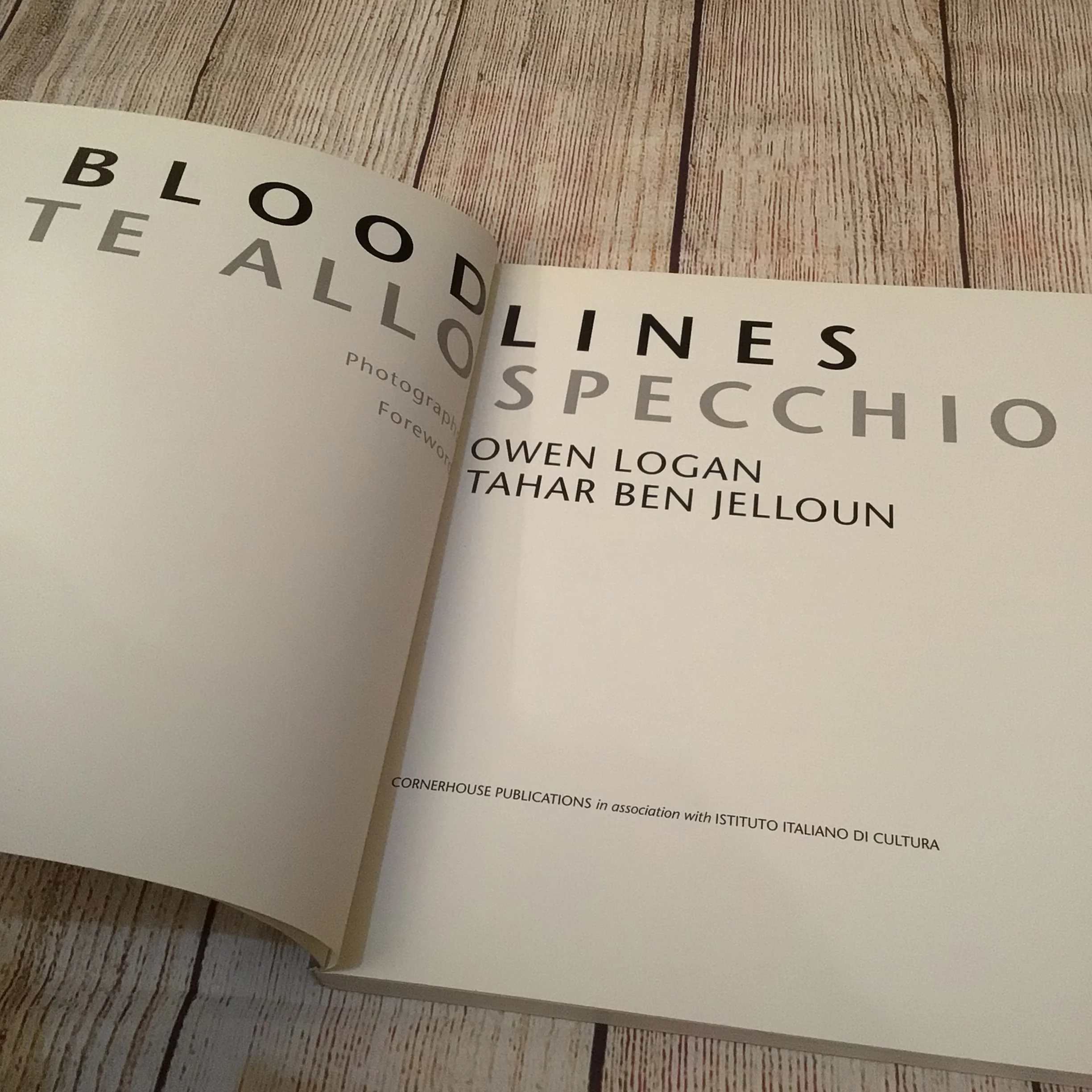Bloodlines: Vite Allo Specchio by Owen Logan (1994) - Image 7