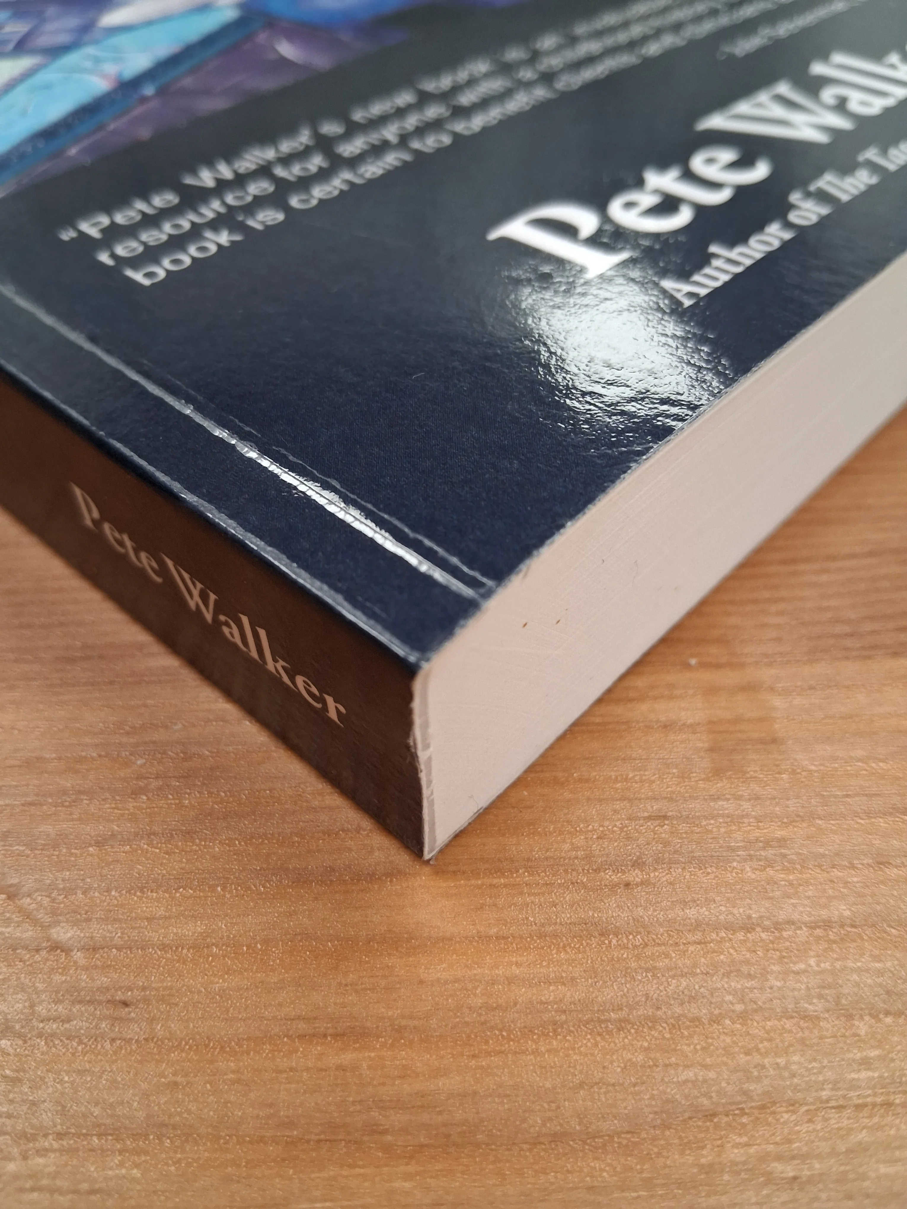 Complex PTSD From Surviving To Thriving Soft Back Book By Pete Walker - Image 3