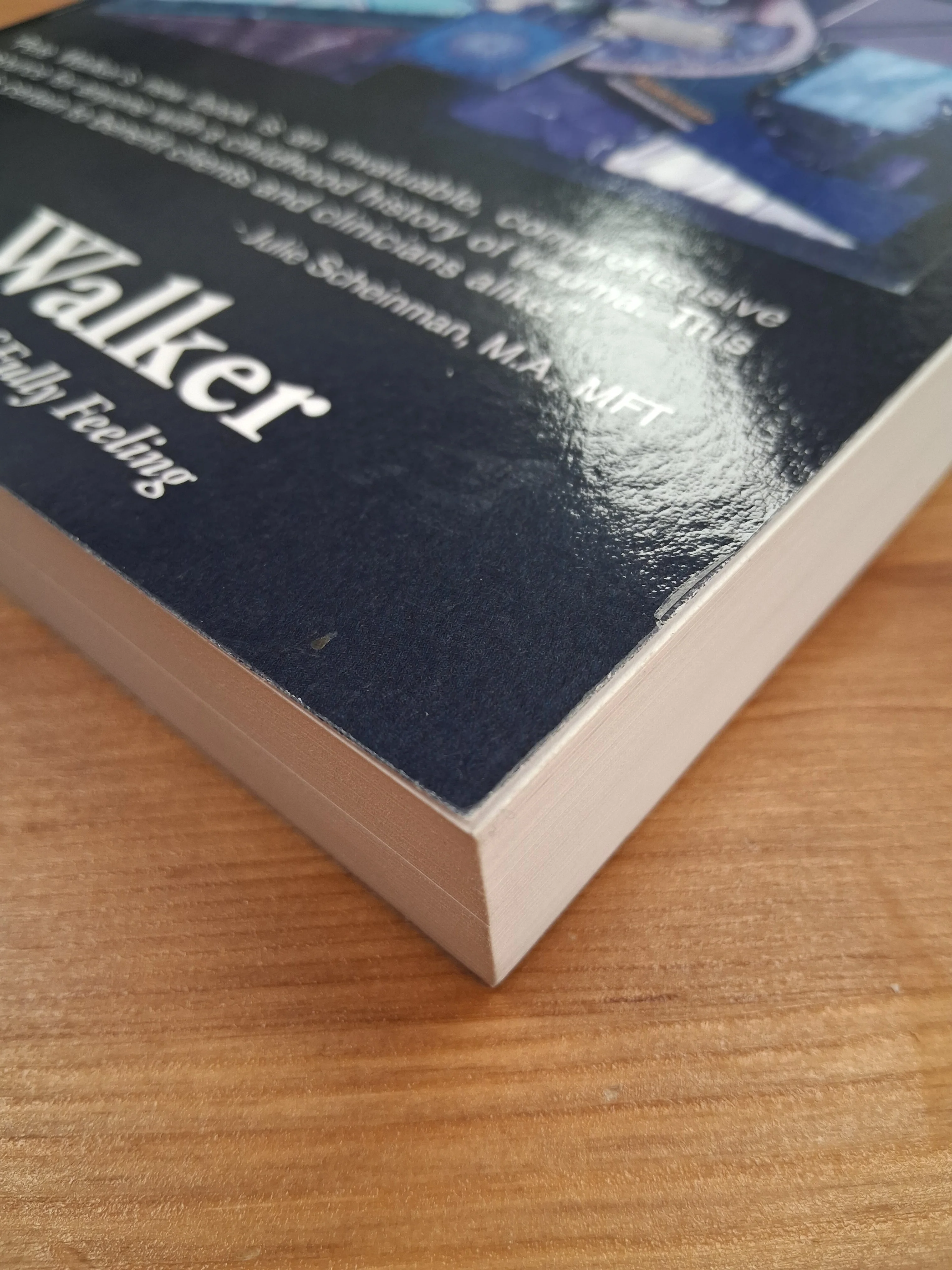 Complex PTSD From Surviving To Thriving Soft Back Book By Pete Walker - Image 4