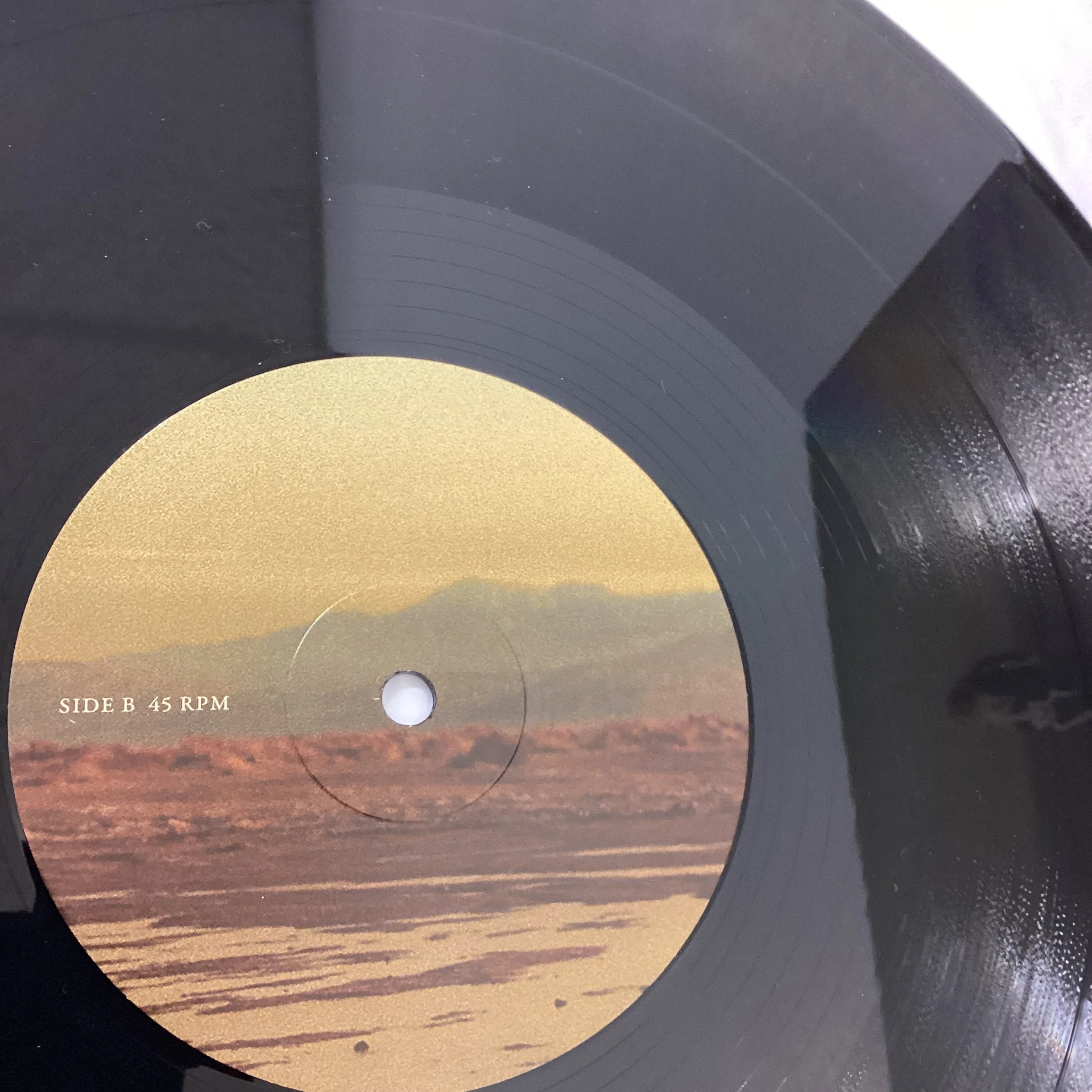 Copycat Killer Phoebe Bridger Vinyl Album - Image 4