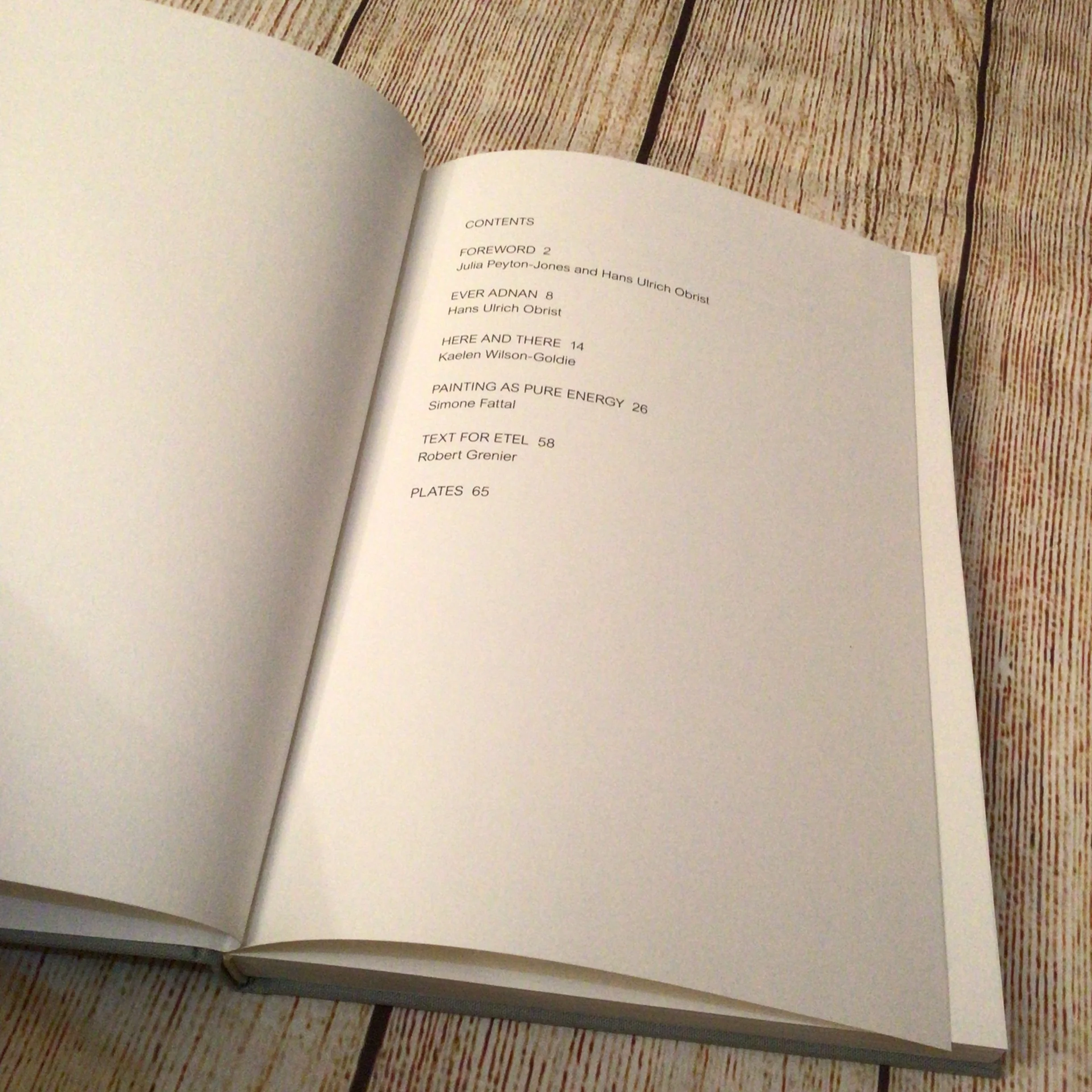 Etel Adnan: The Weight of the World (2016) Koenig Books, Serpentine Galleries - Image 5
