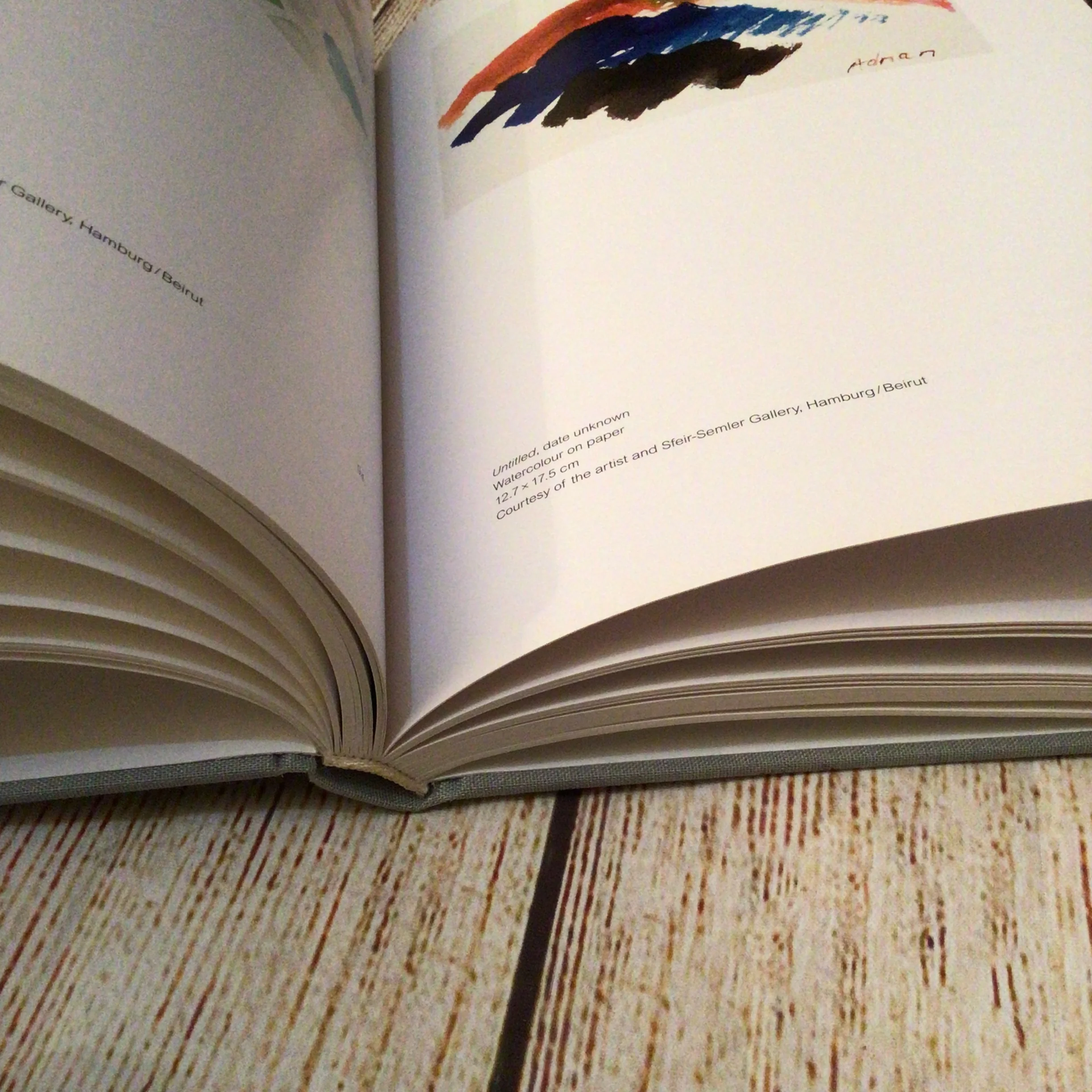 Etel Adnan: The Weight of the World (2016) Koenig Books, Serpentine Galleries - Image 6