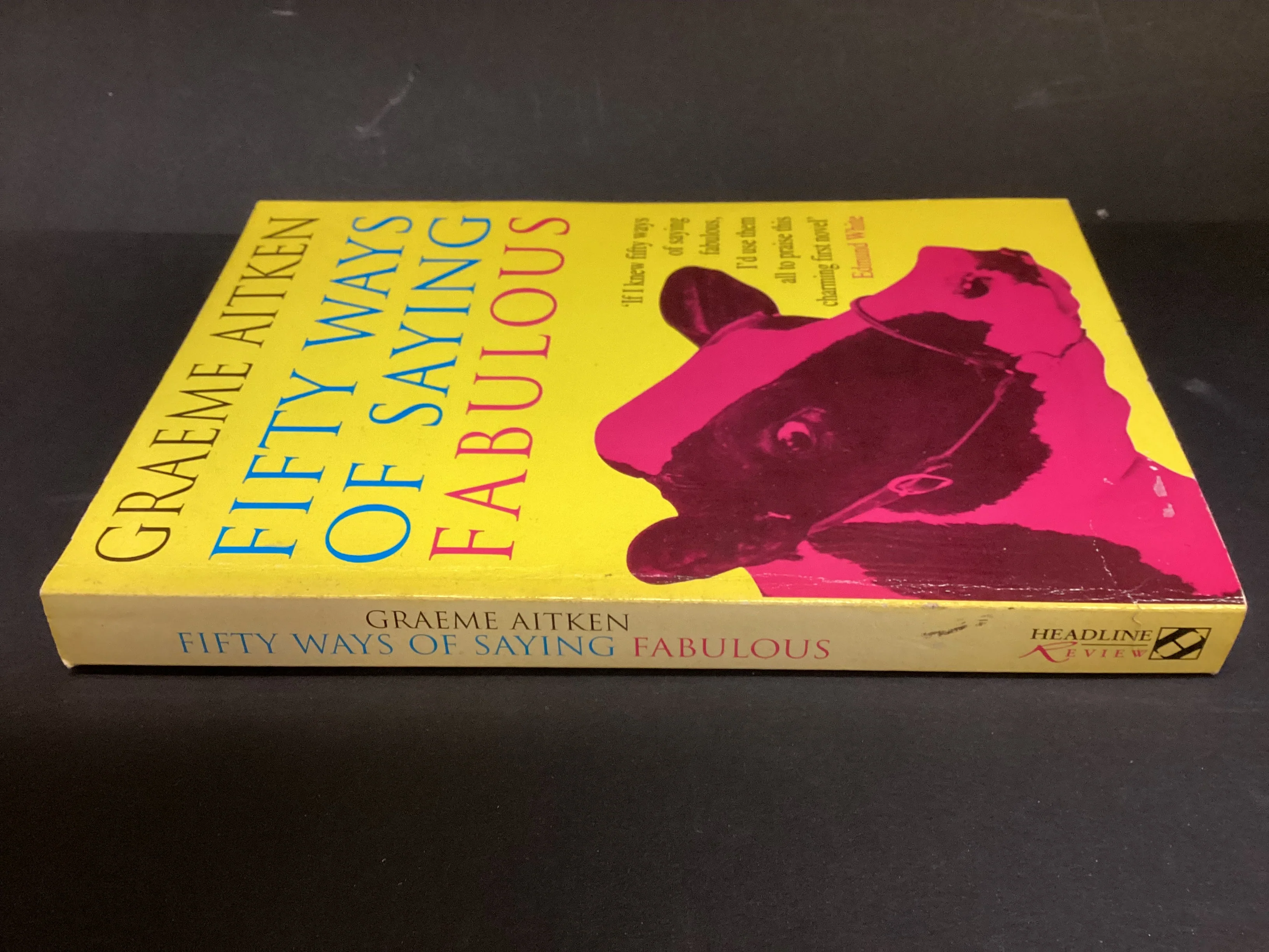 Fifty Ways of Saying Fabulous by Graeme Aitken - Image 2