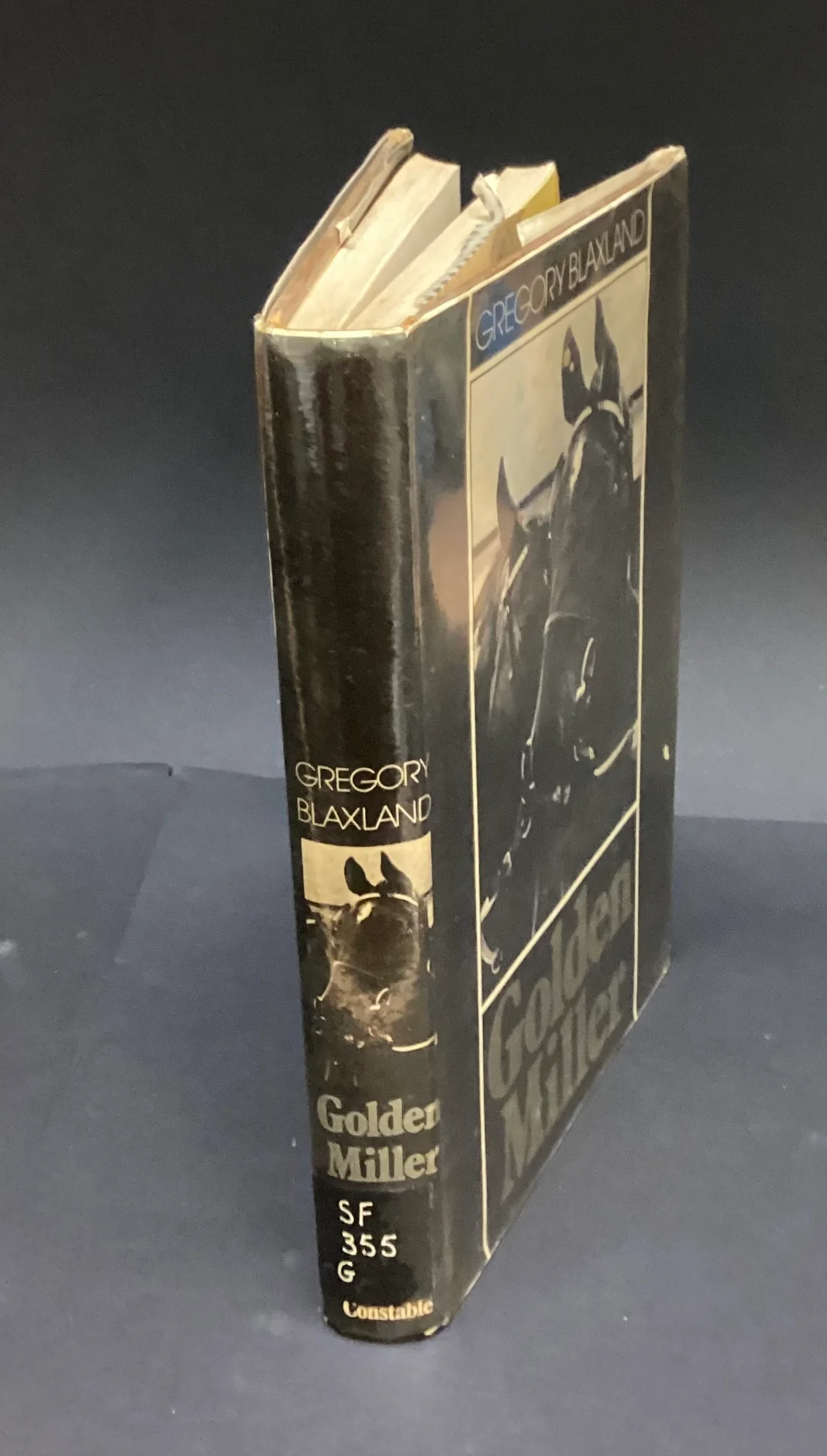 Golden Miller by Gregory Blaxland - Image 2