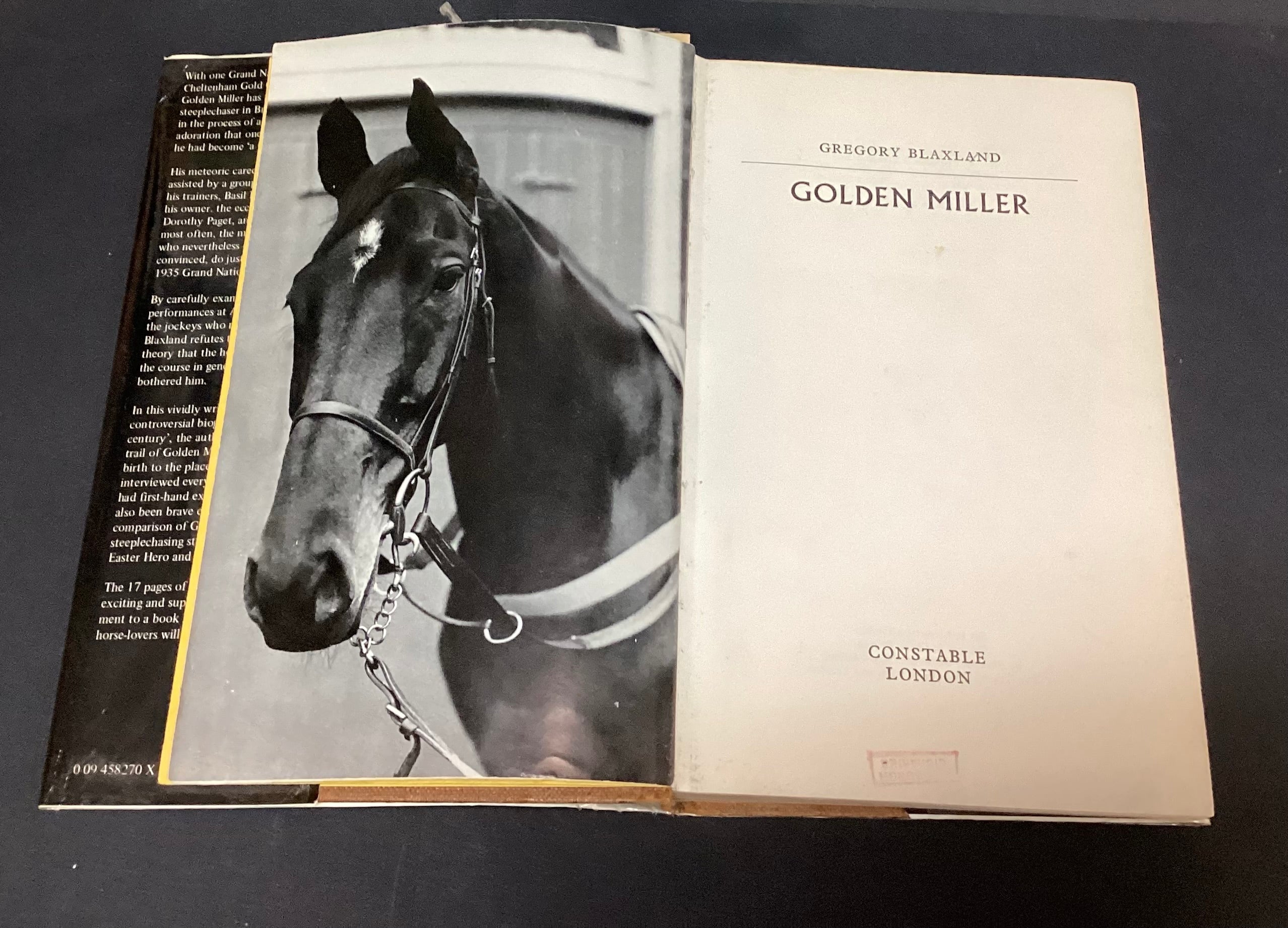 Golden Miller by Gregory Blaxland - Image 5