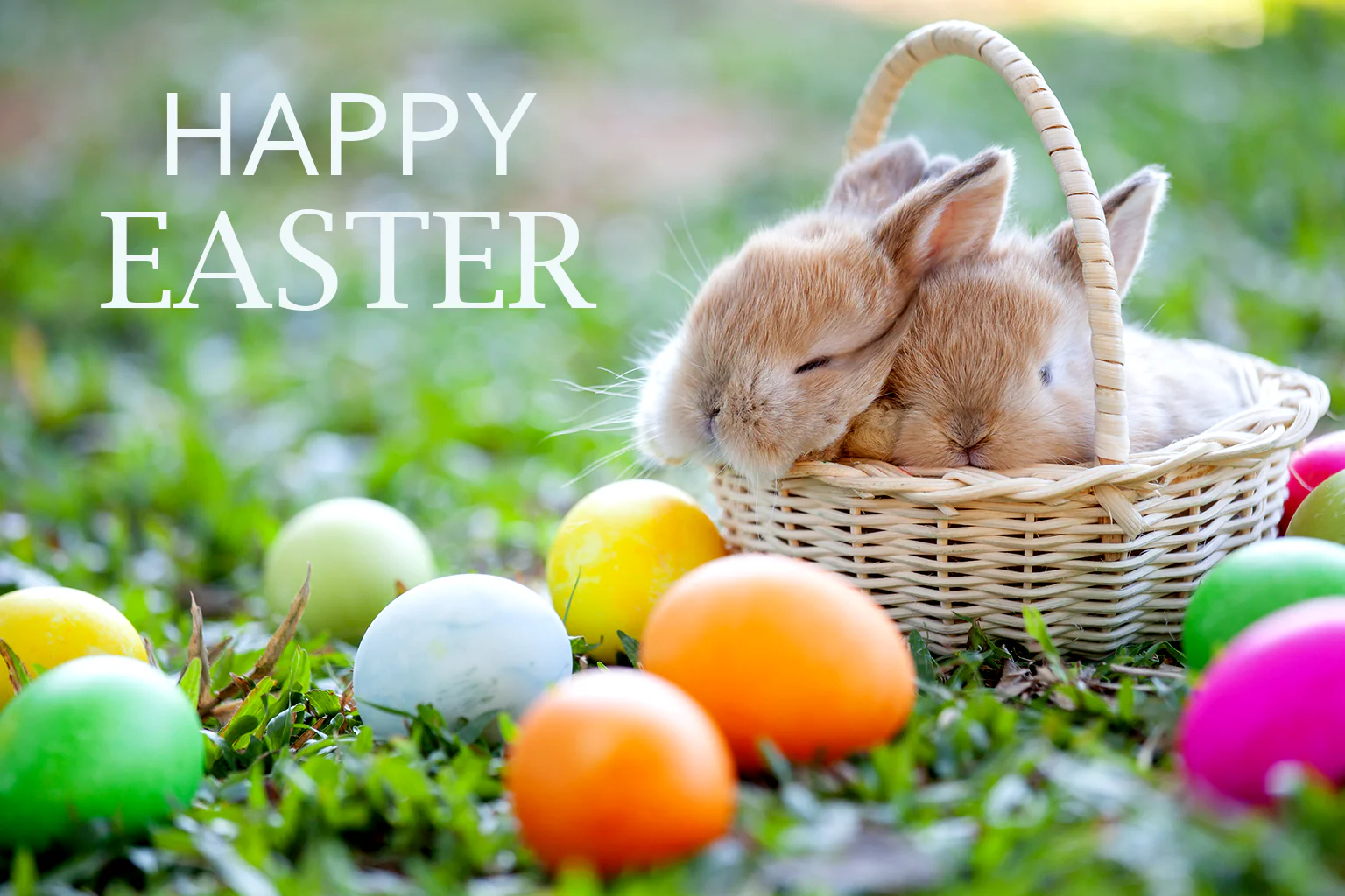 Happy Easter Bunny eCard