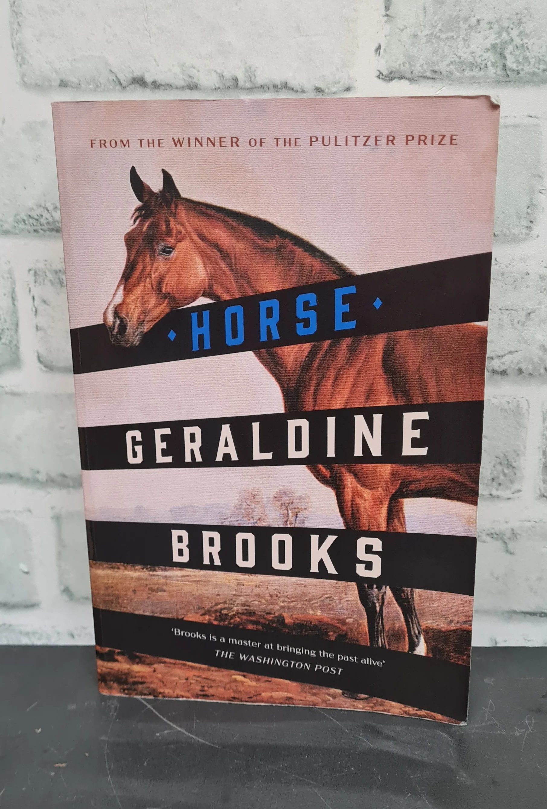 Horse by Geraldine Brooks Paperback