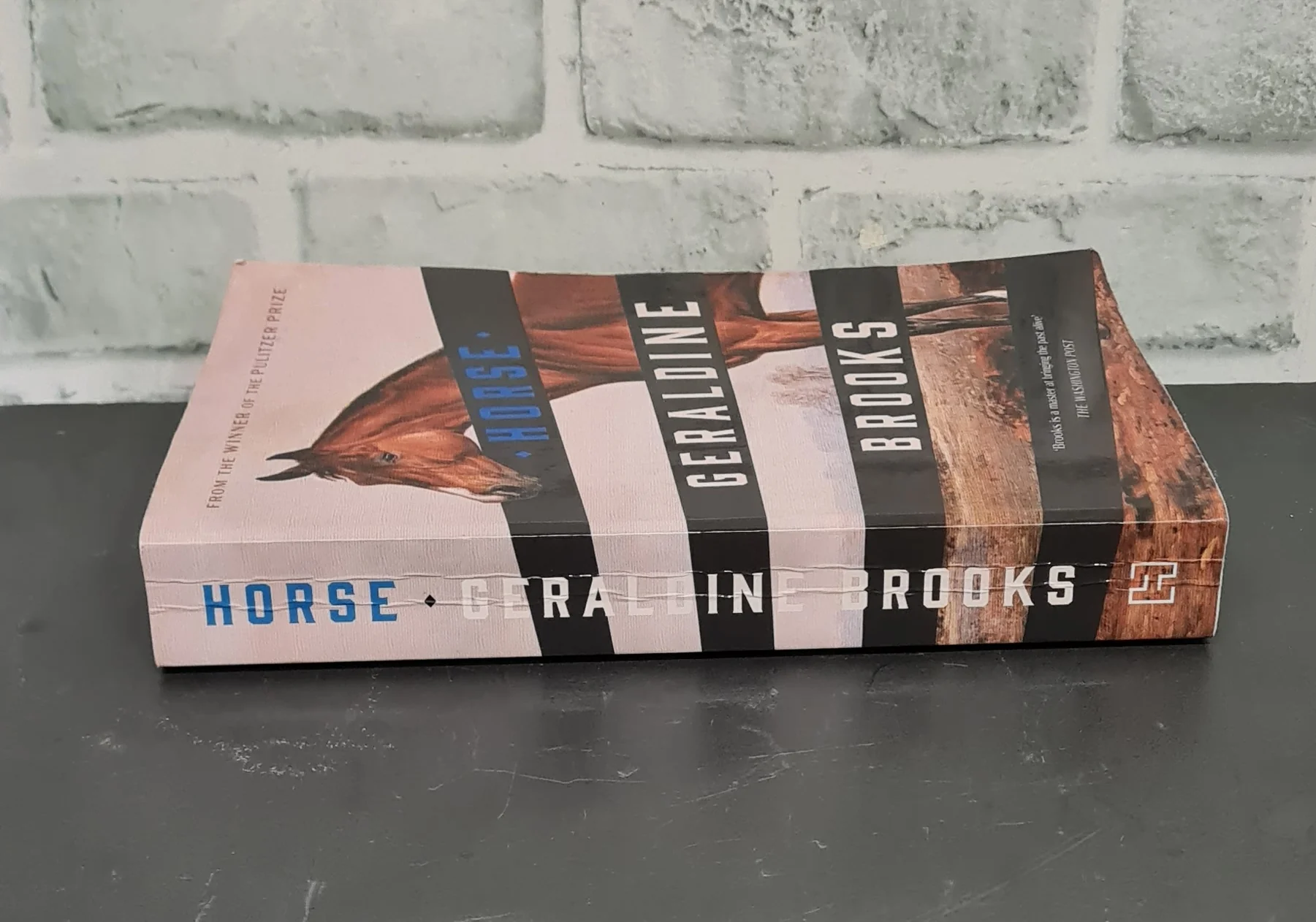 Horse by Geraldine Brooks Paperback - Image 6