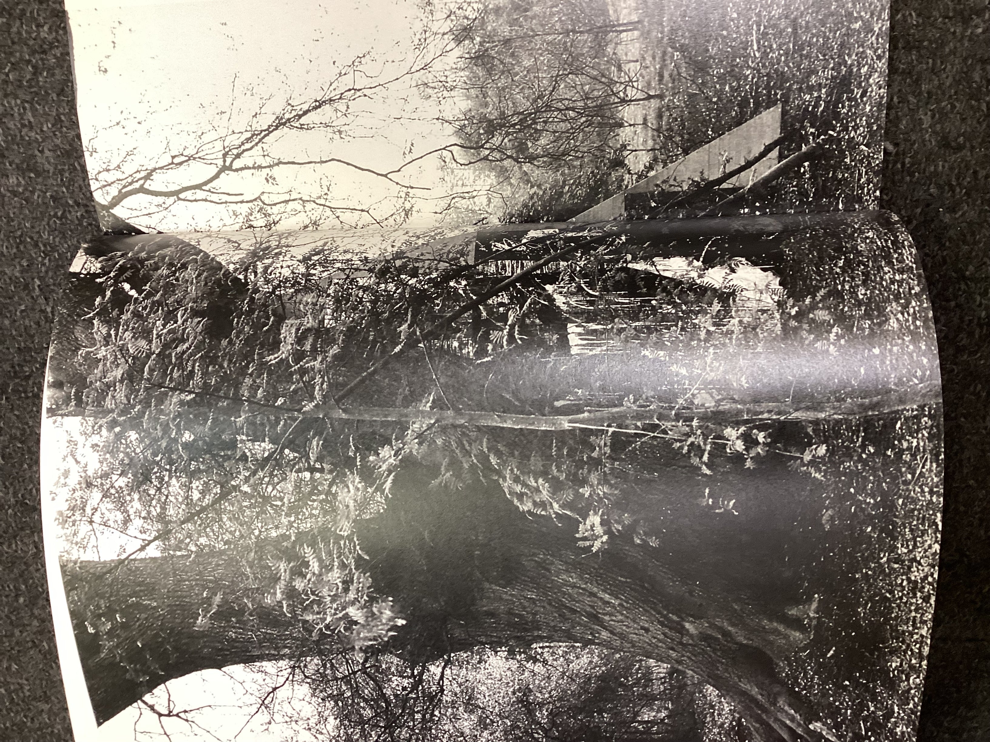 Ian McKeever: Paintings 1978–1990 - Image 5