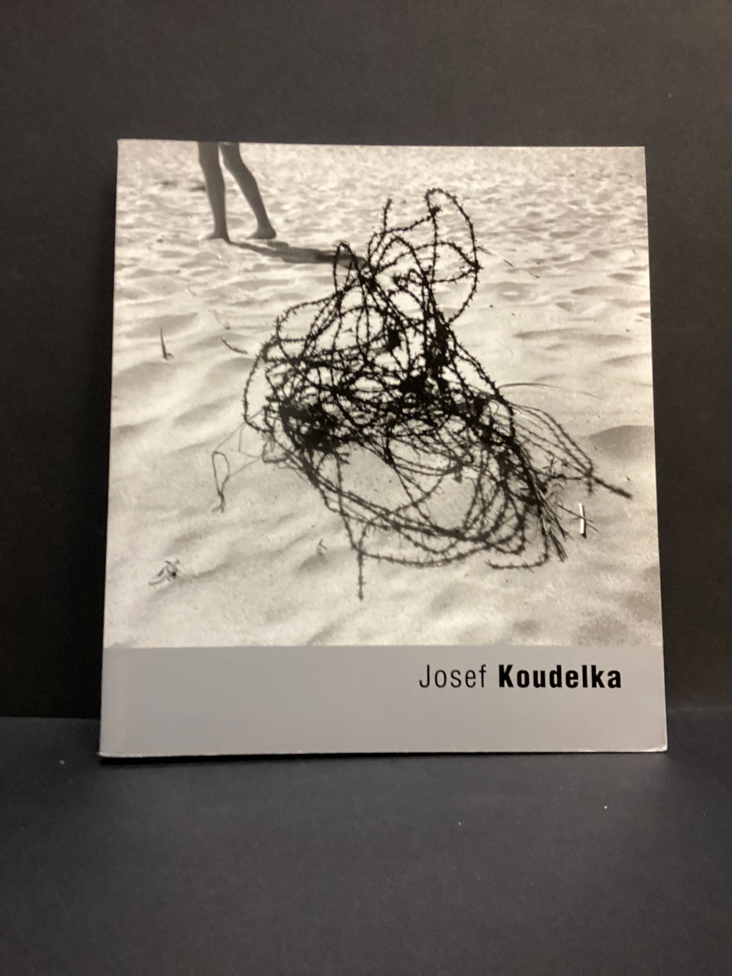 Joseph Koudelka (2002) by Karel Kvizdala and Joeseph Koudelka