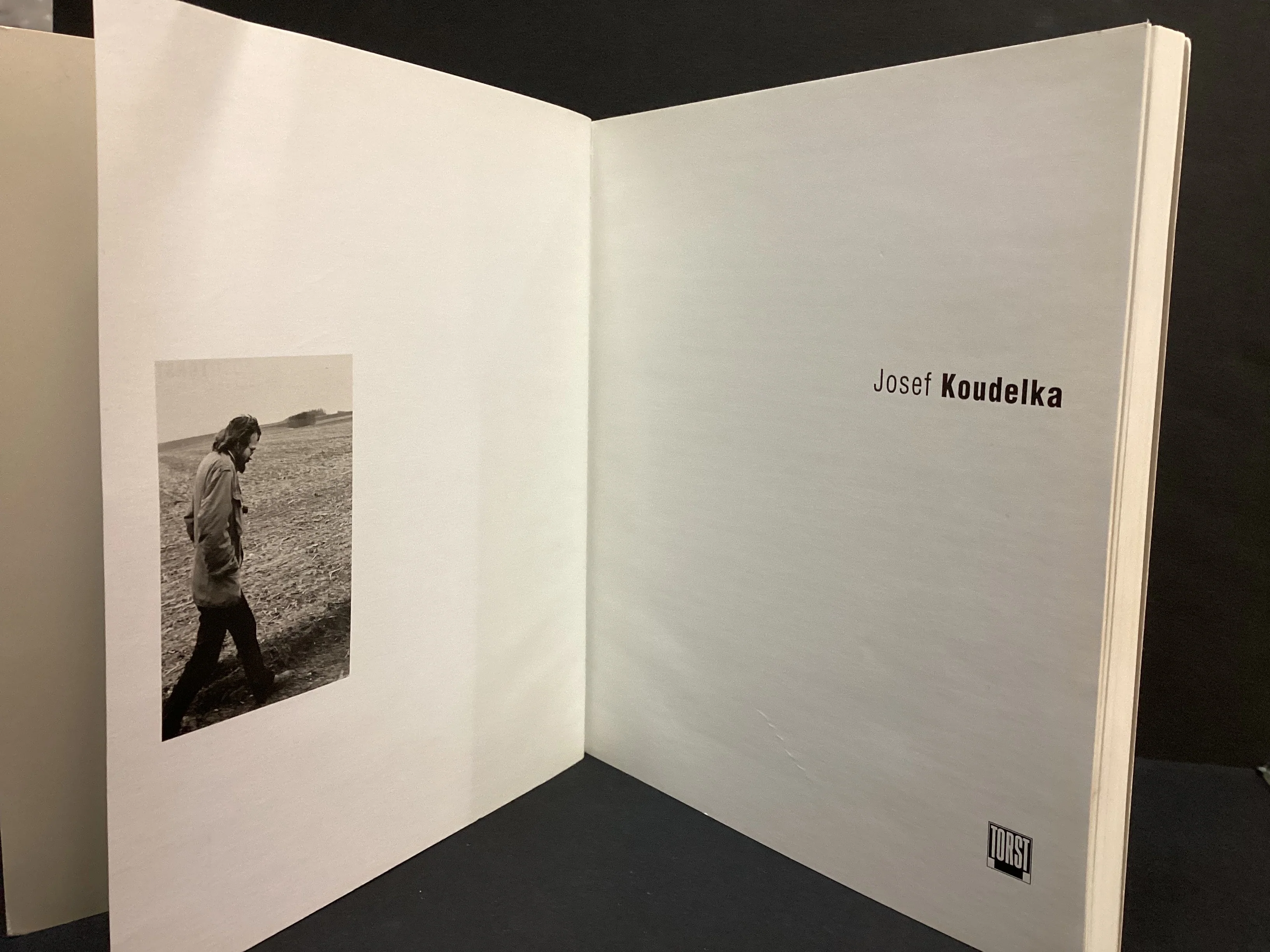 Joseph Koudelka (2002) by Karel Kvizdala and Joeseph Koudelka - Image 2
