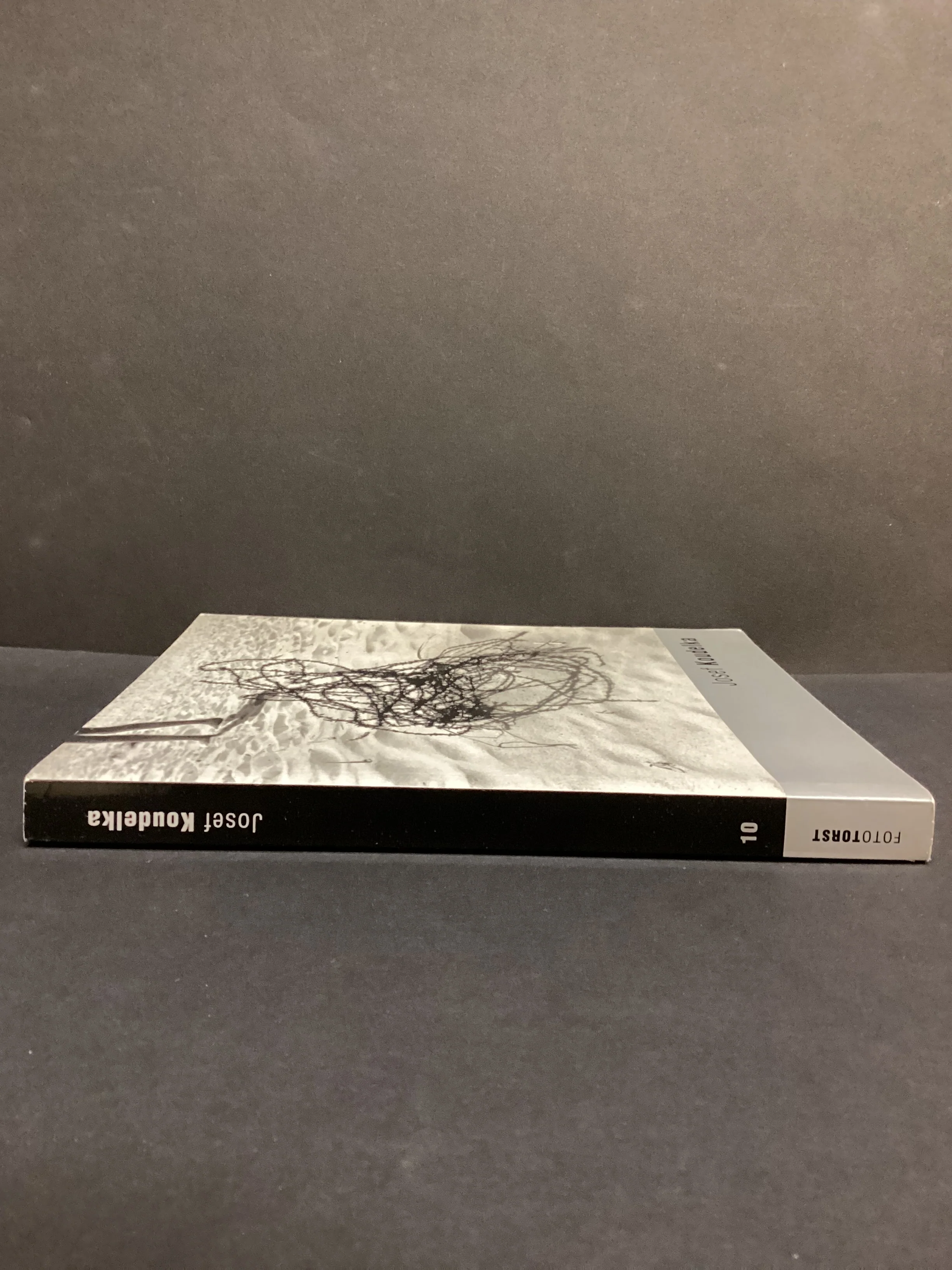Joseph Koudelka (2002) by Karel Kvizdala and Joeseph Koudelka - Image 5
