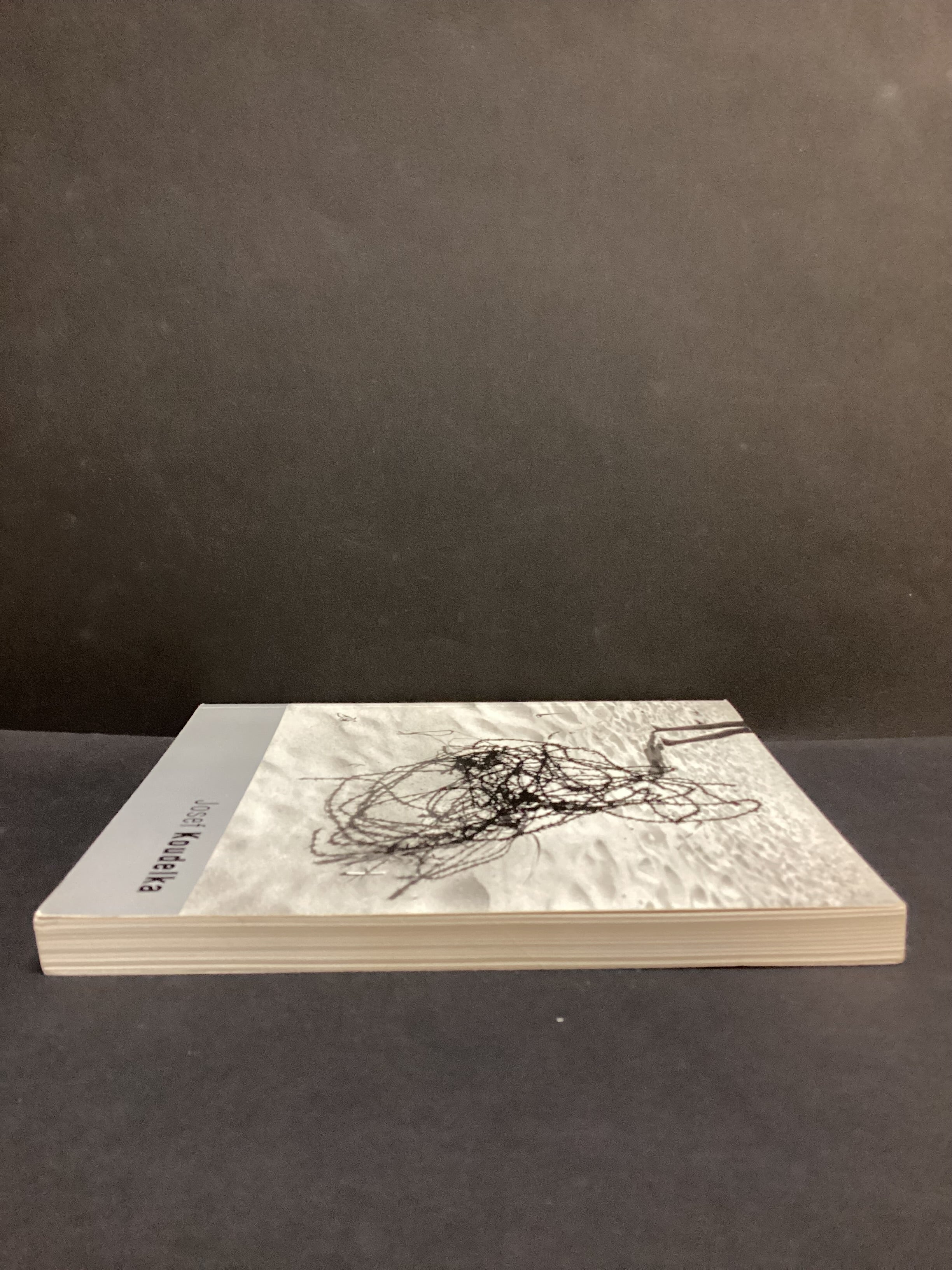 Joseph Koudelka (2002) by Karel Kvizdala and Joeseph Koudelka - Image 7