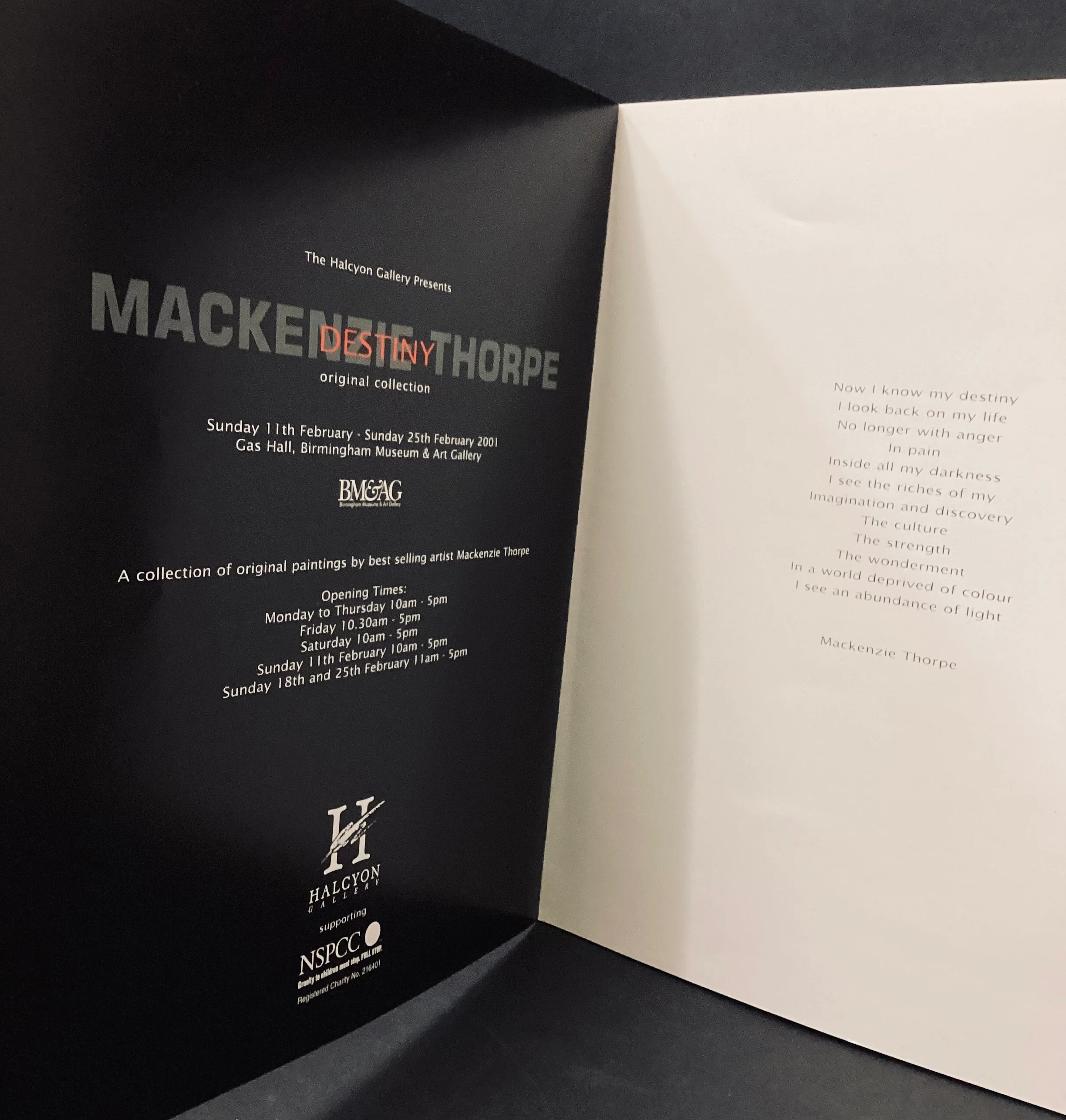 Mackenzie Thorpe: Destiny, Original Collection, Halcyon Gallery Birmingham 2001 - Image 3