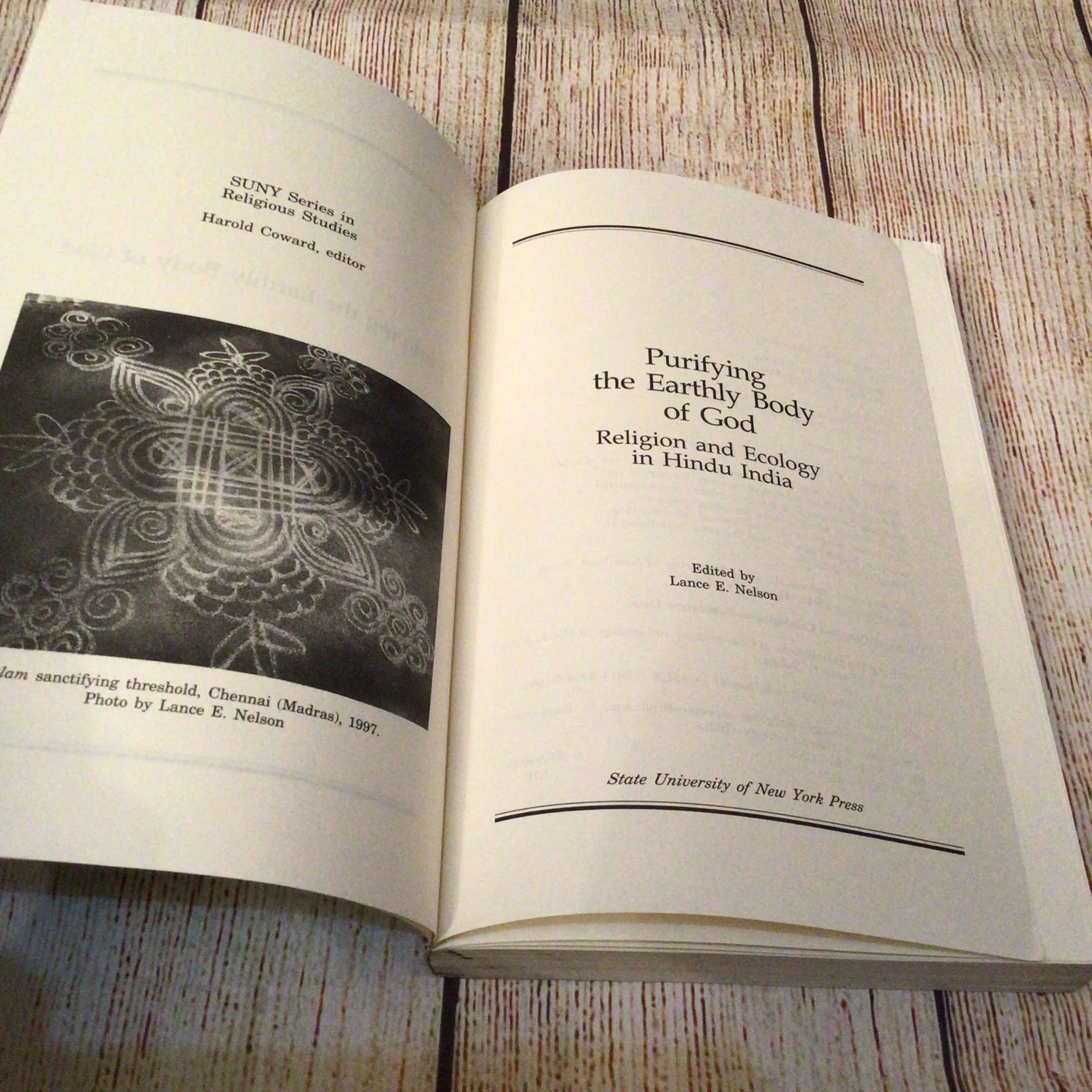 Purifying the Earthly Body of God: Religion & Ecology in Hindu India (1998) - Image 6