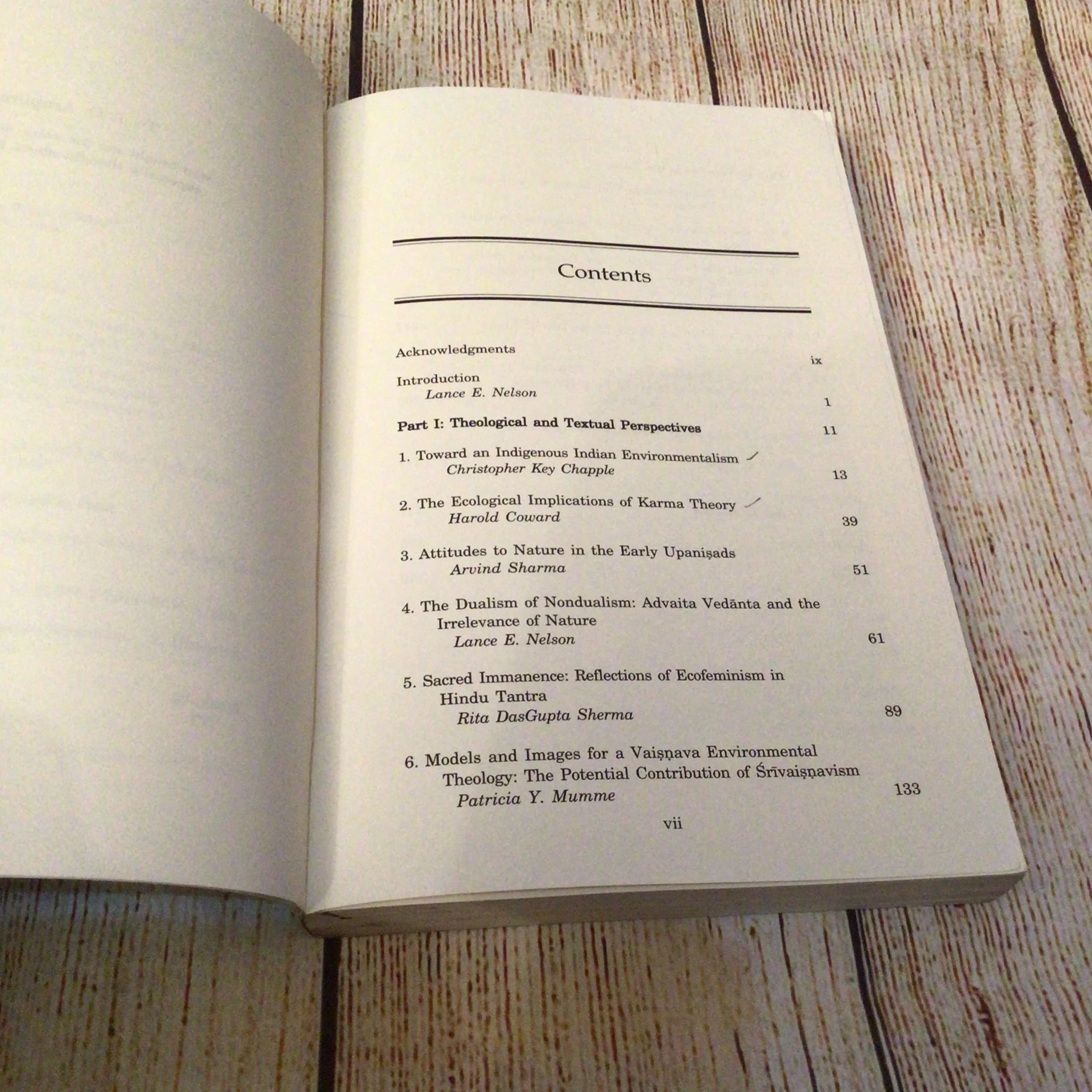 Purifying the Earthly Body of God: Religion & Ecology in Hindu India (1998) - Image 8