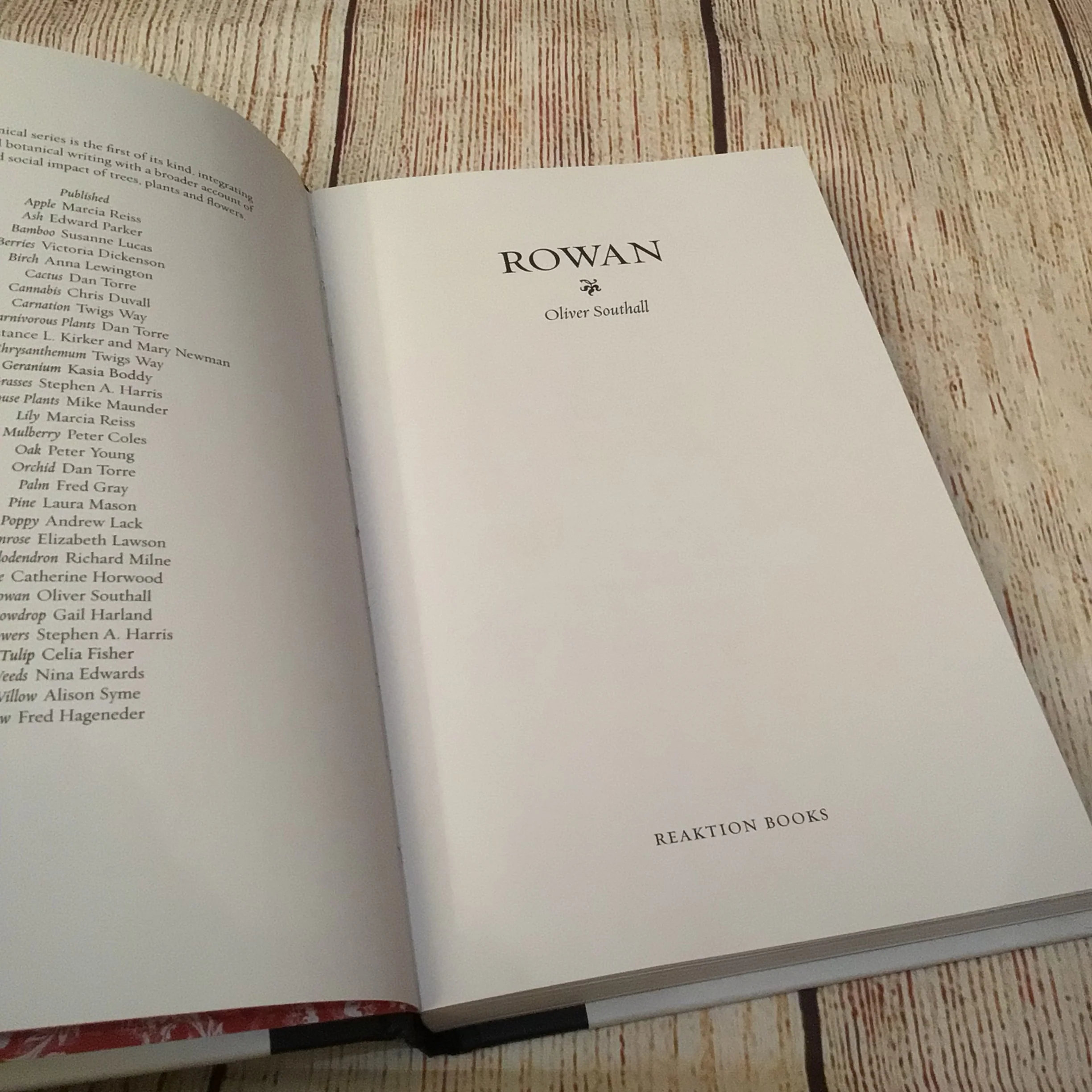 Rowan by Oliver Southall (2023) 9781789147124 - Image 5