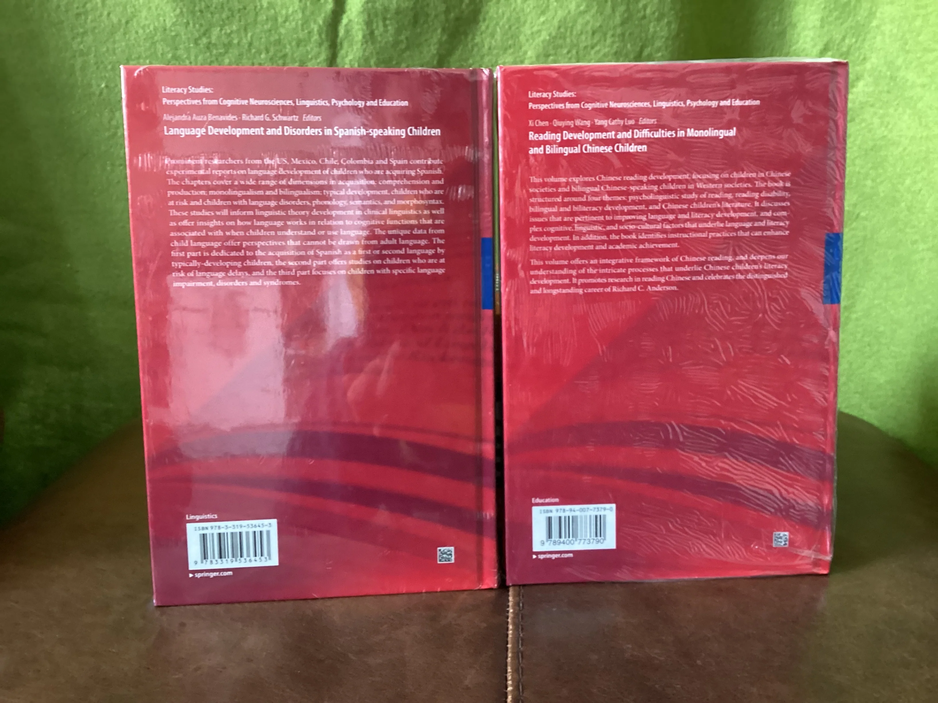 Springer Academic Literacy Studies Book Bundle - Image 2