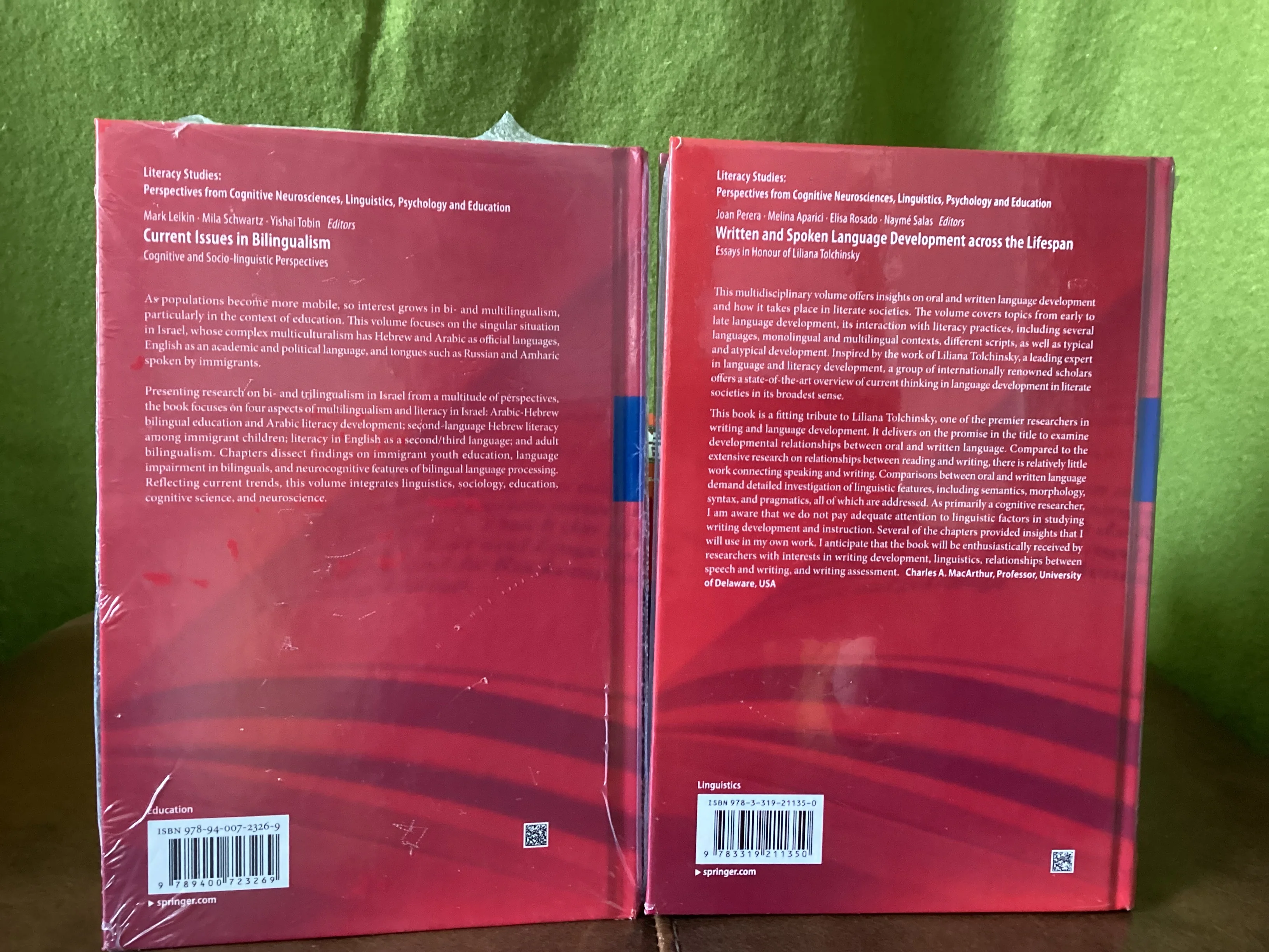 Springer Academic Literacy Studies Book Bundle - Image 4