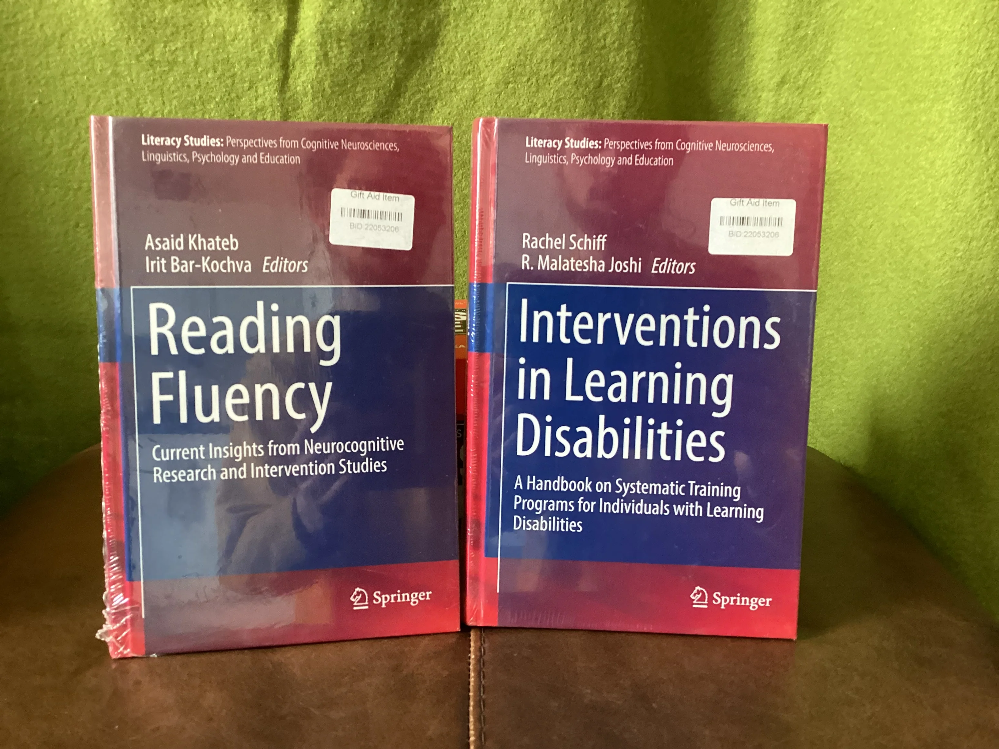 Springer Academic Literacy Studies Book Bundle - Image 5