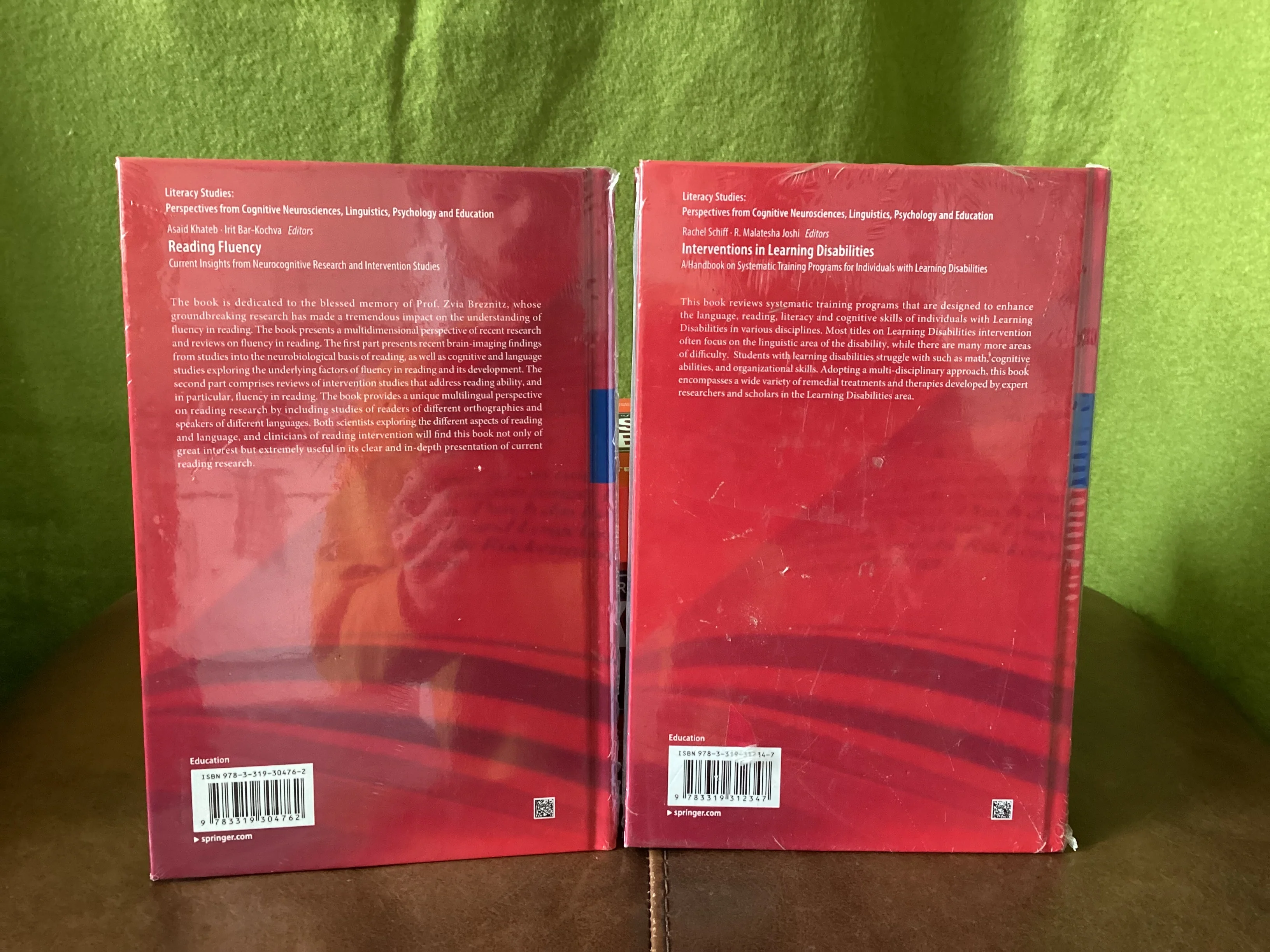 Springer Academic Literacy Studies Book Bundle - Image 6