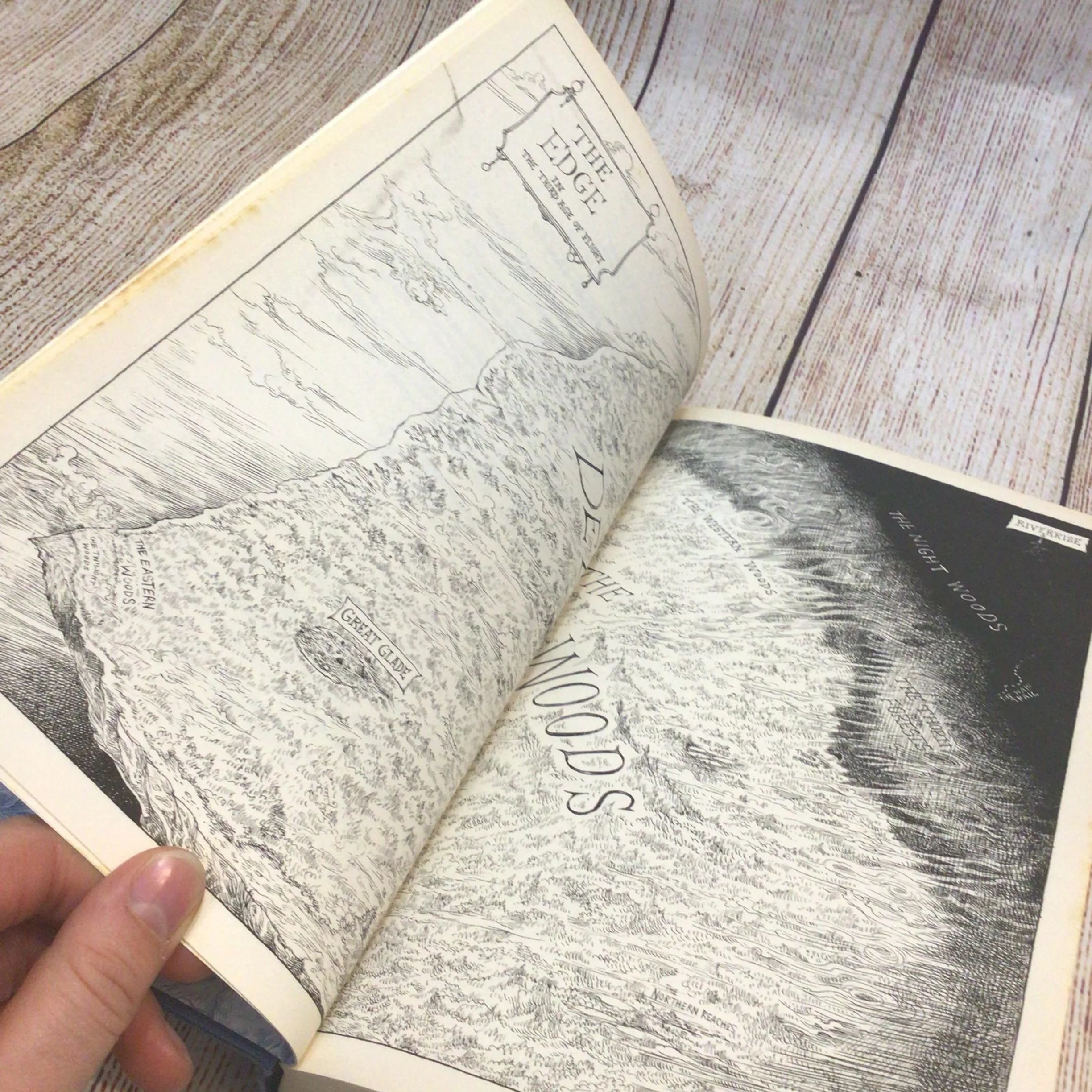 The Edge Chronicles - The Immortals by Paul Stewart & Chris Riddell (Signed, 2009) - Image 12