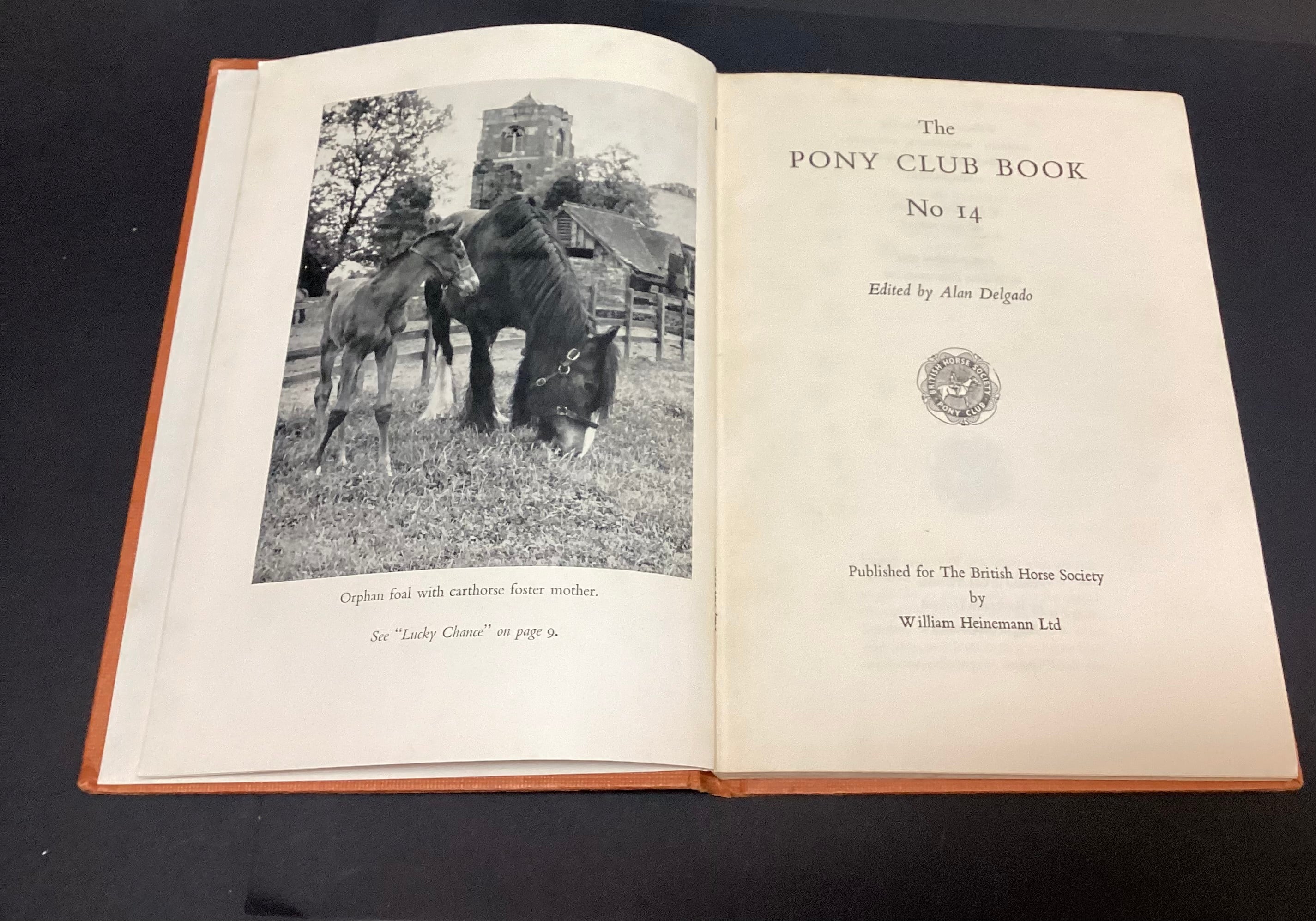 The Pony Club Book 14