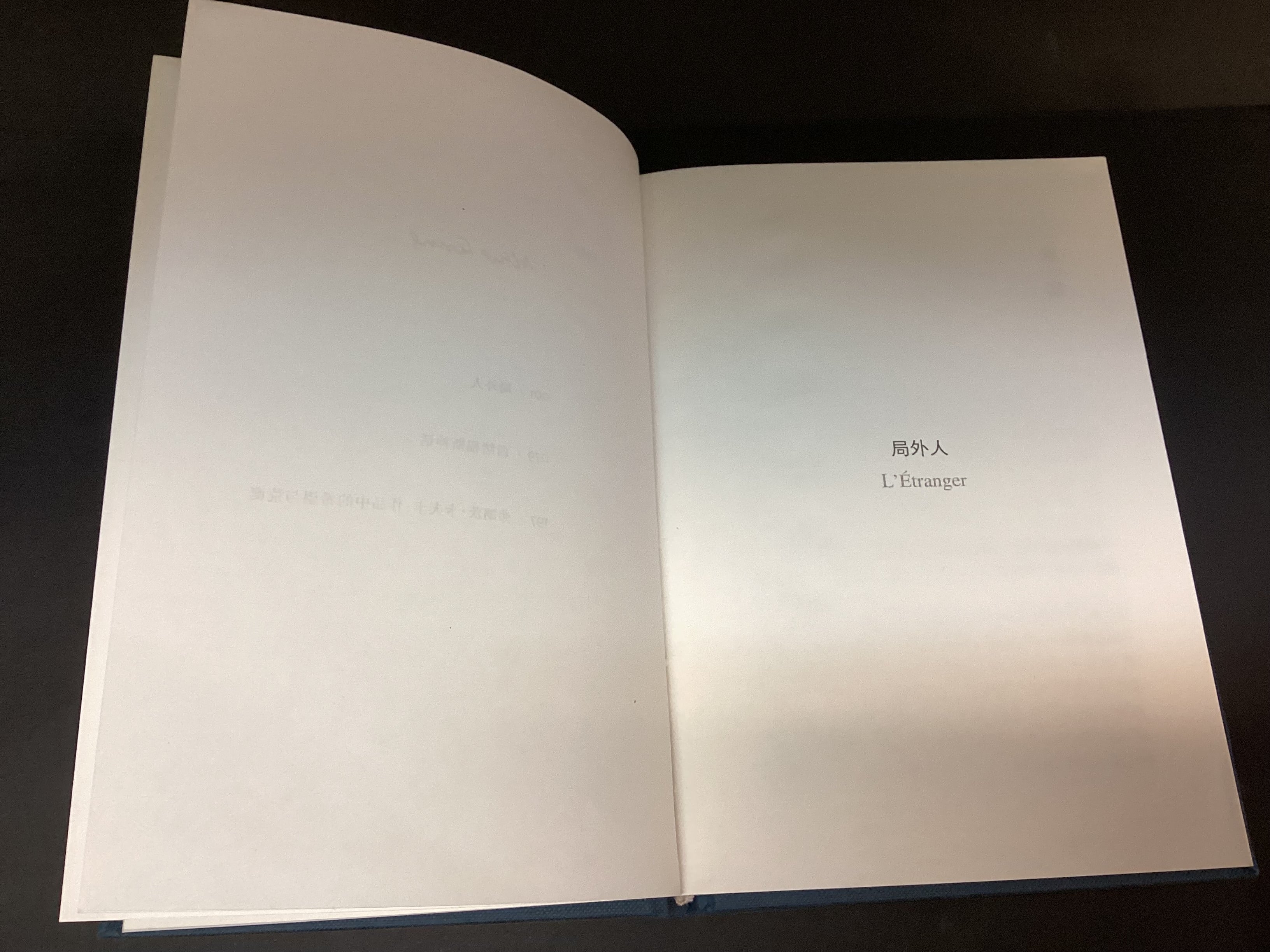 The Stranger and The Myth of Sisyphus by Camus (Chinese Edition) - Image 4