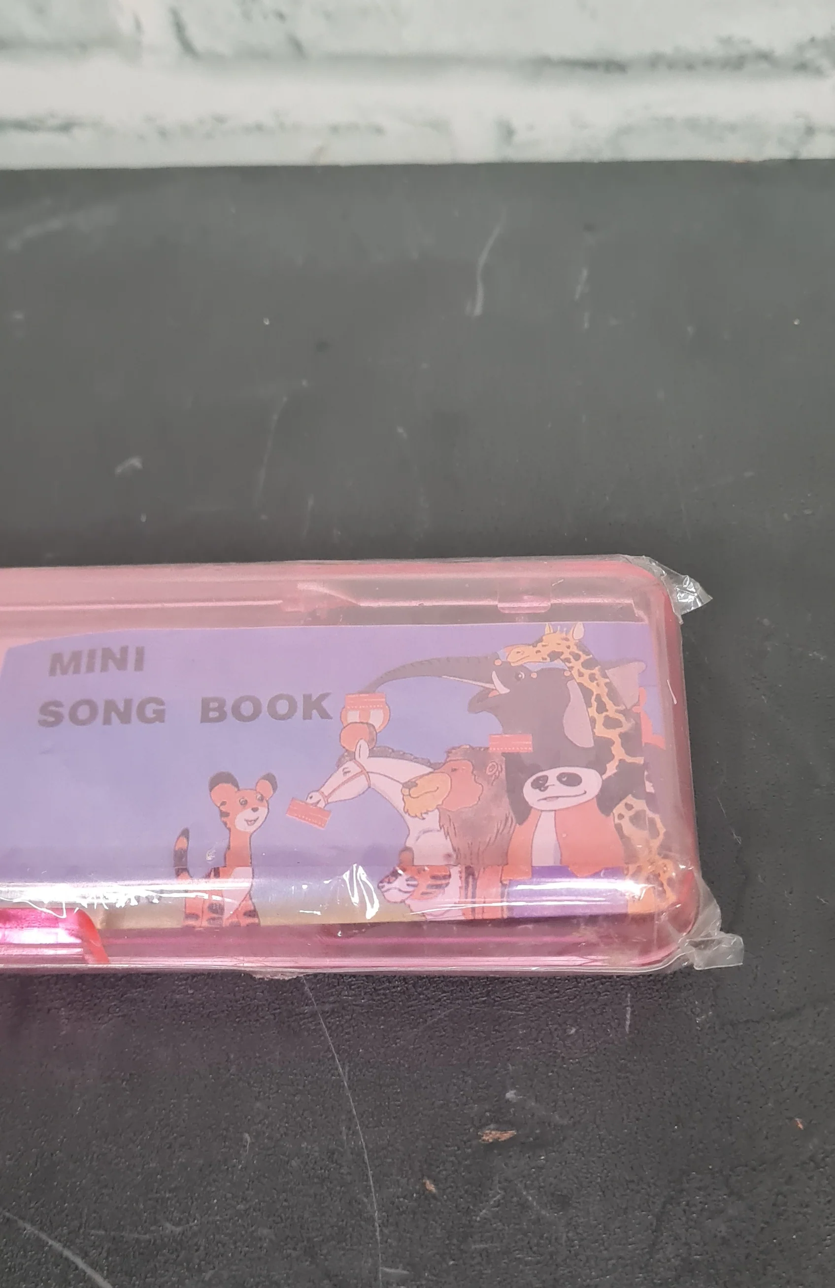 Vintage 80's Electron Echo Mini Piano Pink Pencil Case with Song Book Included - Image 5