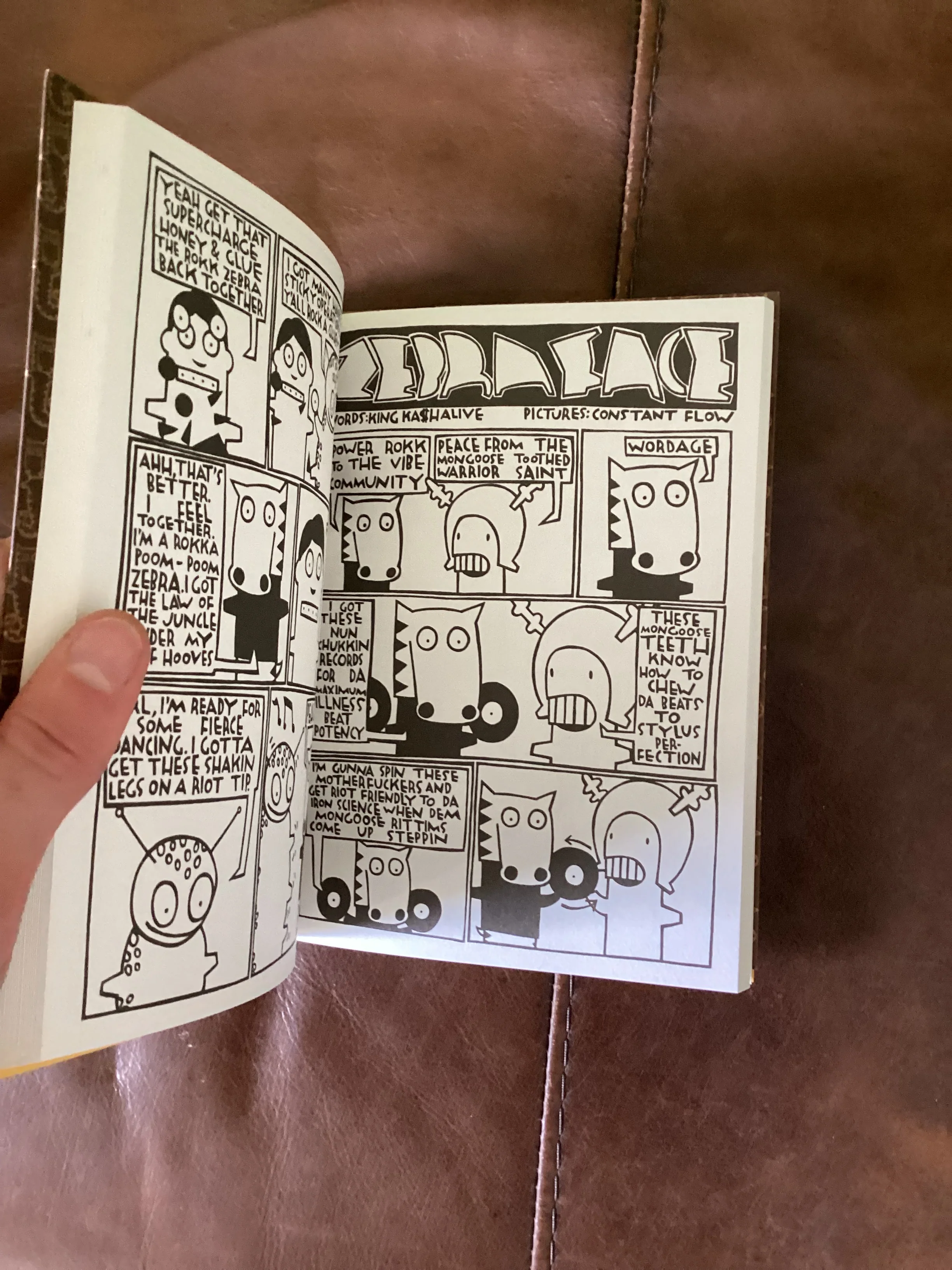 Zebraface Graphic Novel Sunshine Souljah and Kid Acne - Image 3